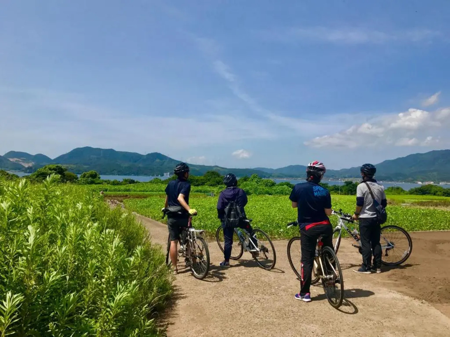 COCORETO Daikon Island