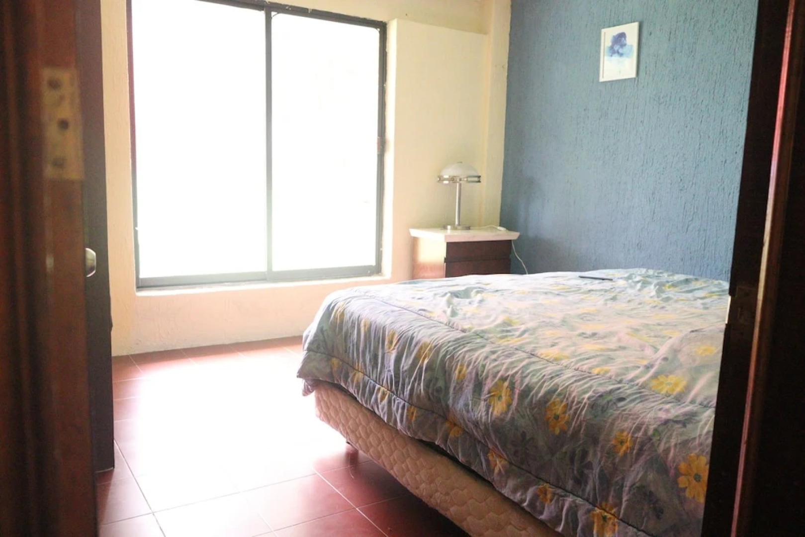 House of Ficus Banderilla,veracruz-mexico