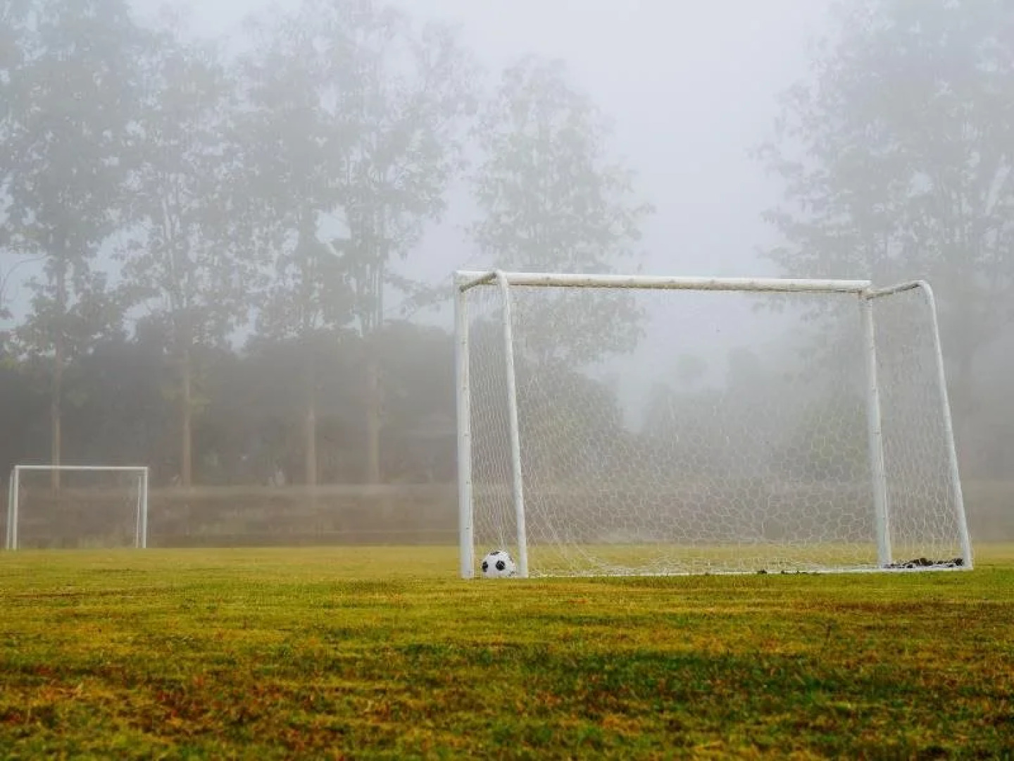 The Teak Resort Chiangdao