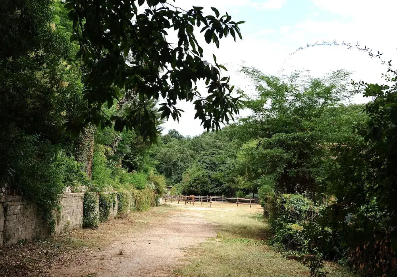 B&B Circolo Ippico Semprevisa