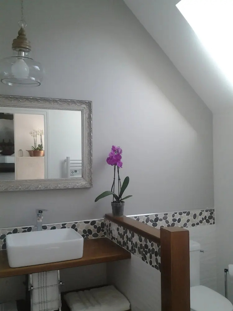 Manoir des Roches 41