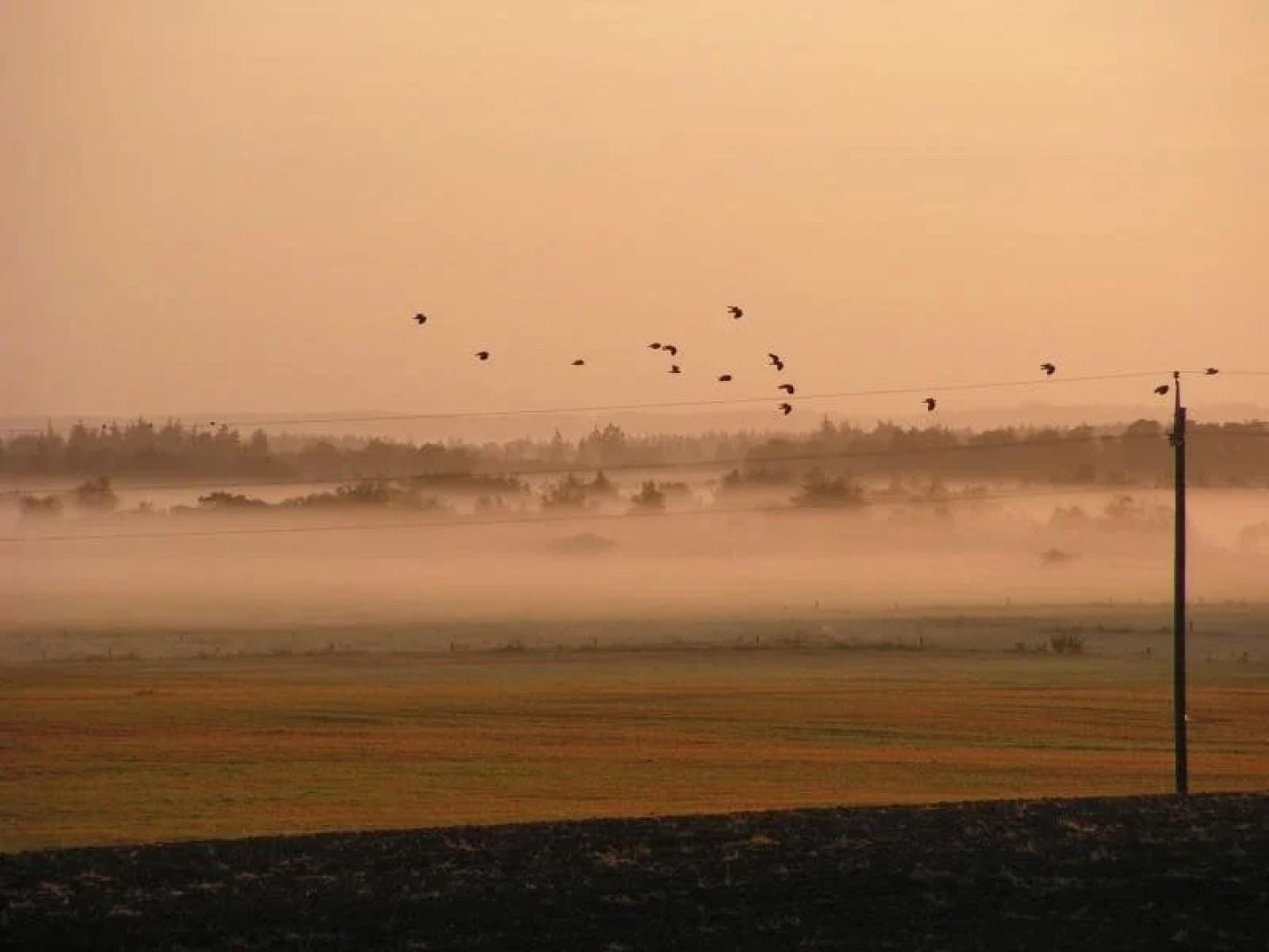 Brunbjerg Apartments