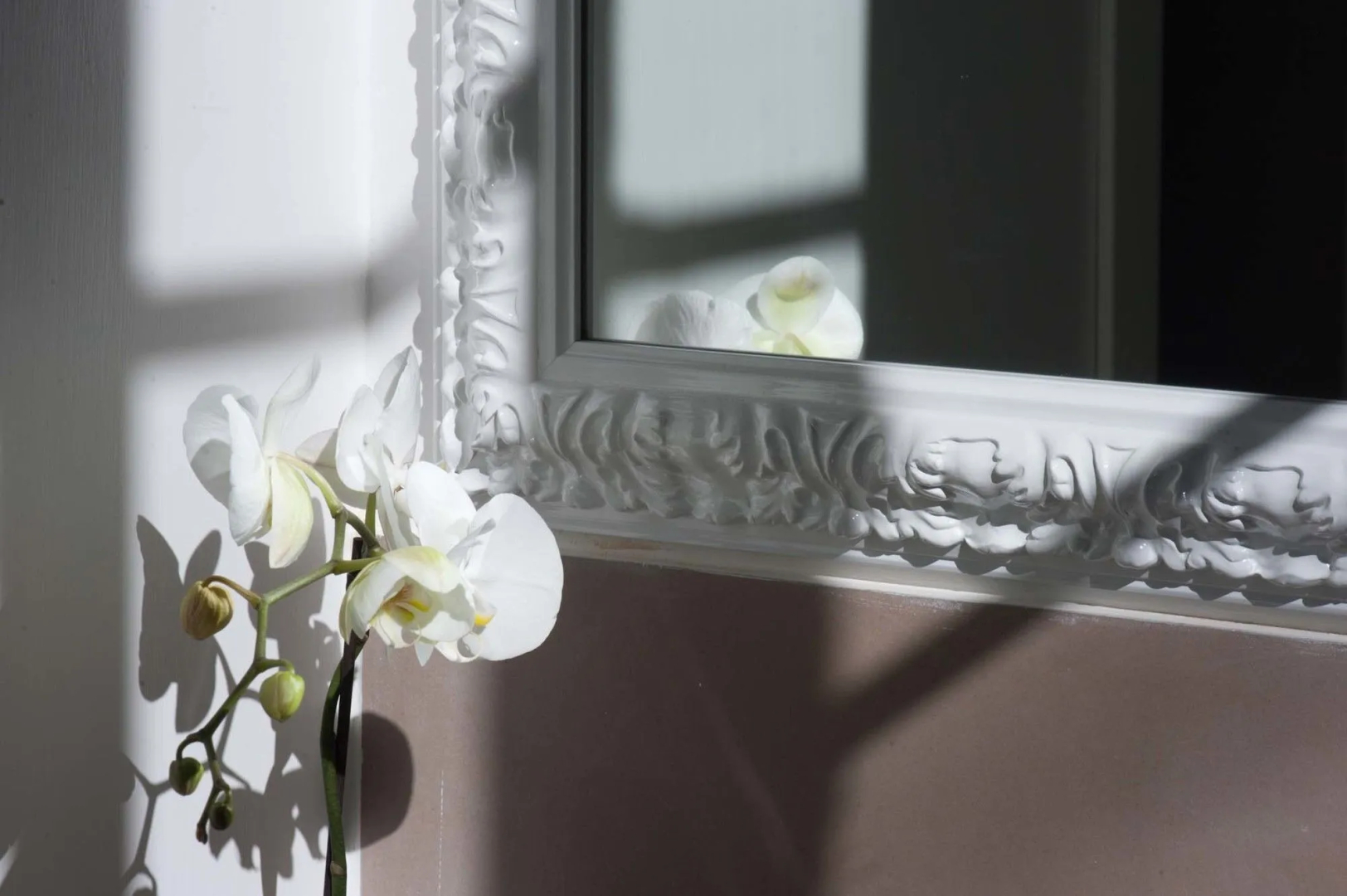 Imperia Suite