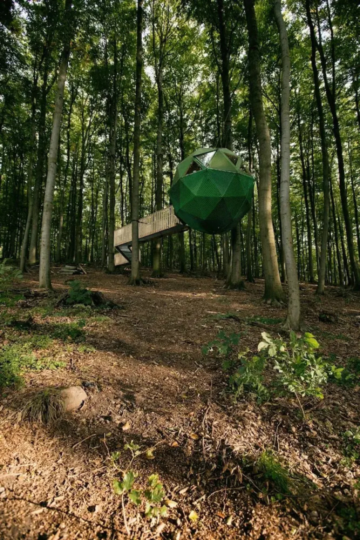 Robins Nest Baumhaushotel