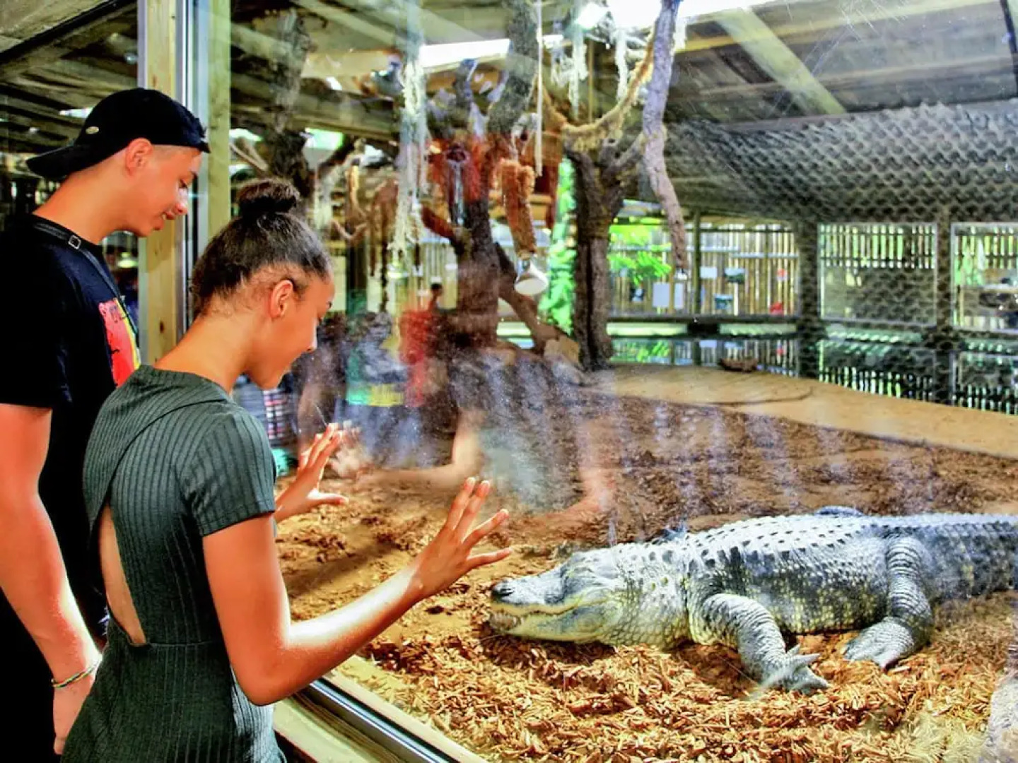 Modern Holiday Home in Salignac-Eyvigues with Swimming Pool