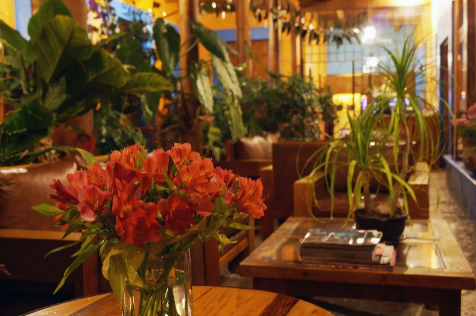 Hotel Posada El Paraíso