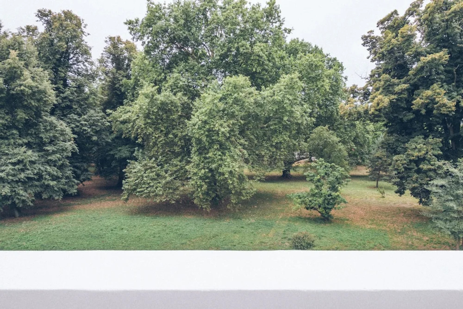 Pałac Osowa Sień Hotel