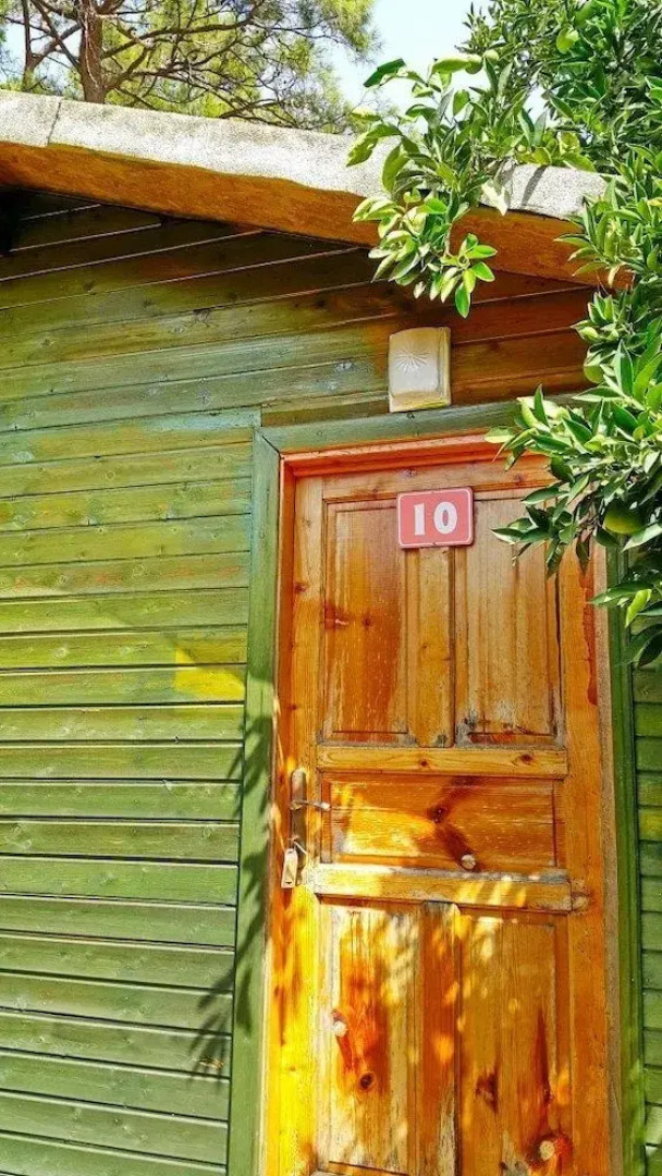 Olympos Yigit Pansiyon