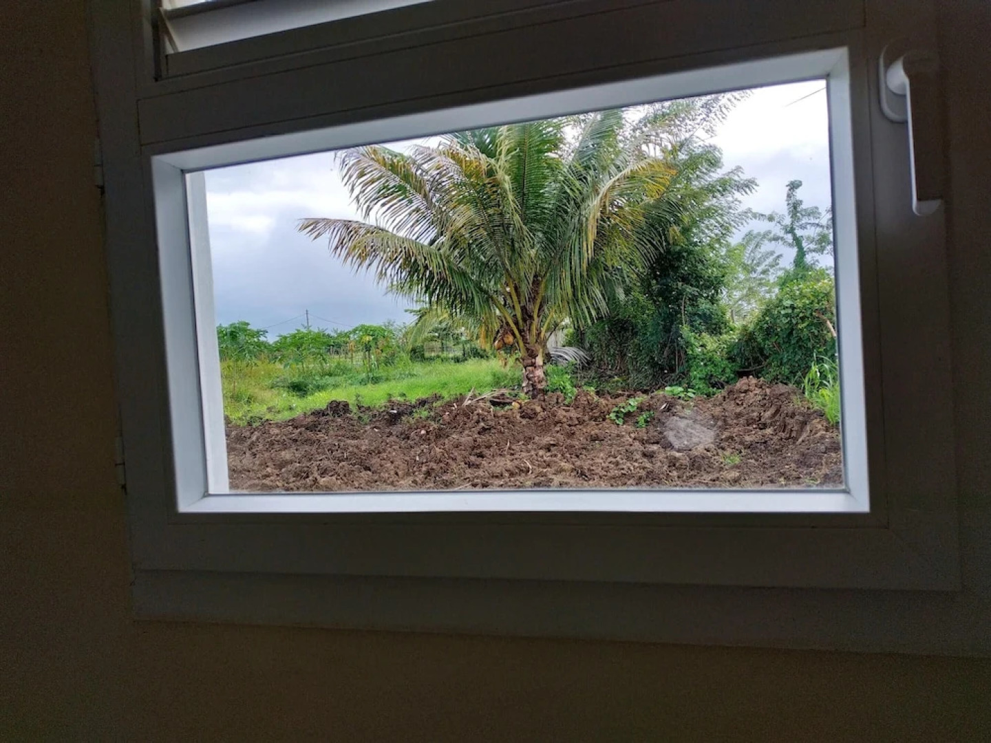 Studio in Le Lamentin, With Enclosed Garden and Wifi - 5 km From the B