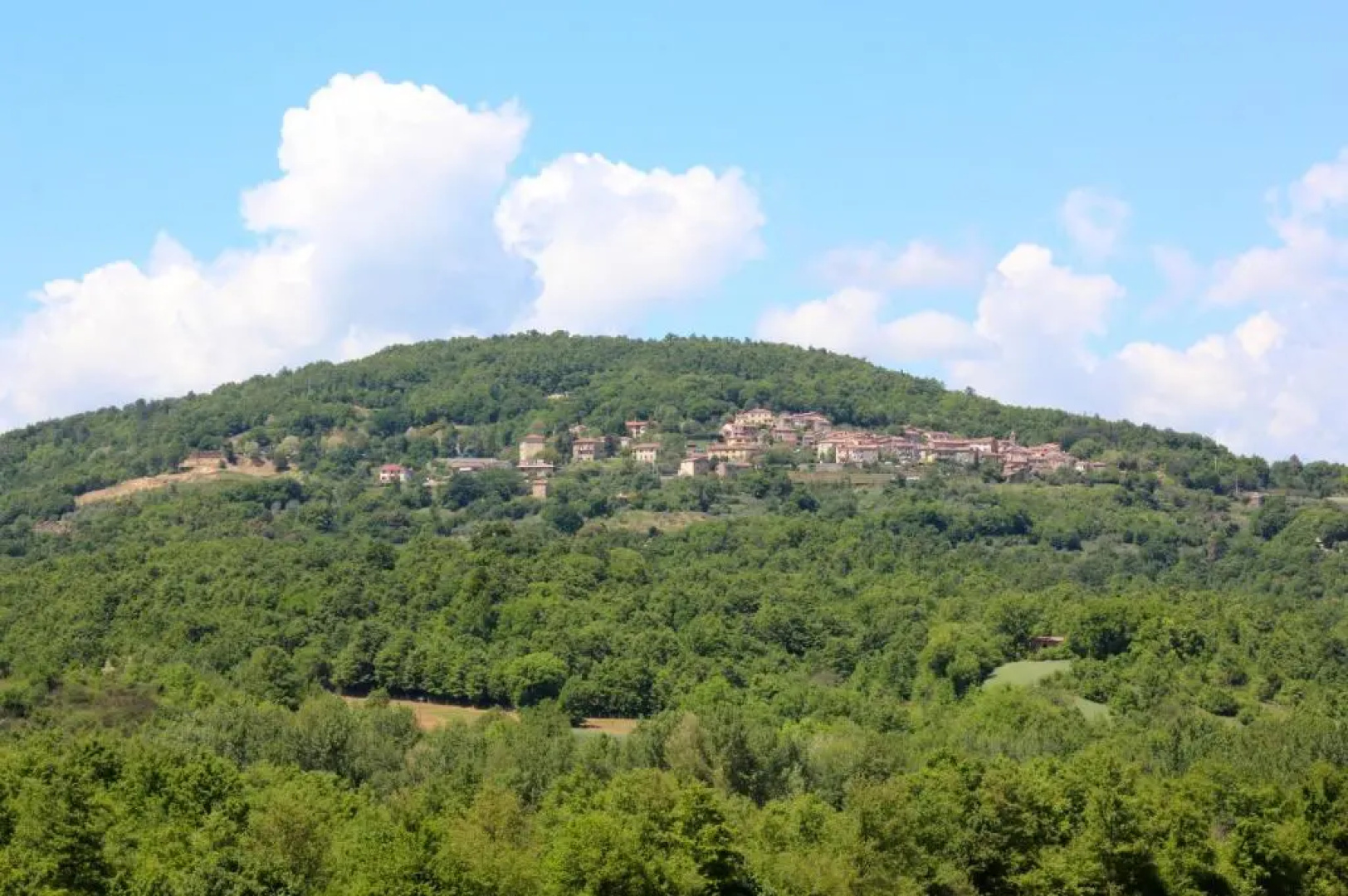 Agriturismo La Via dell'Oliviera