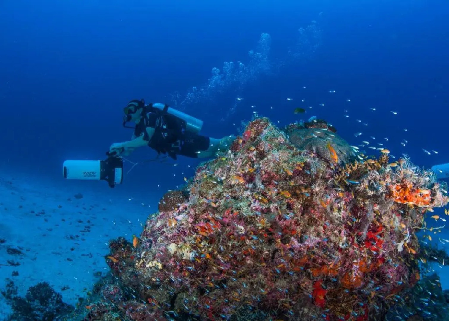 Hibaru Fishing Lodge