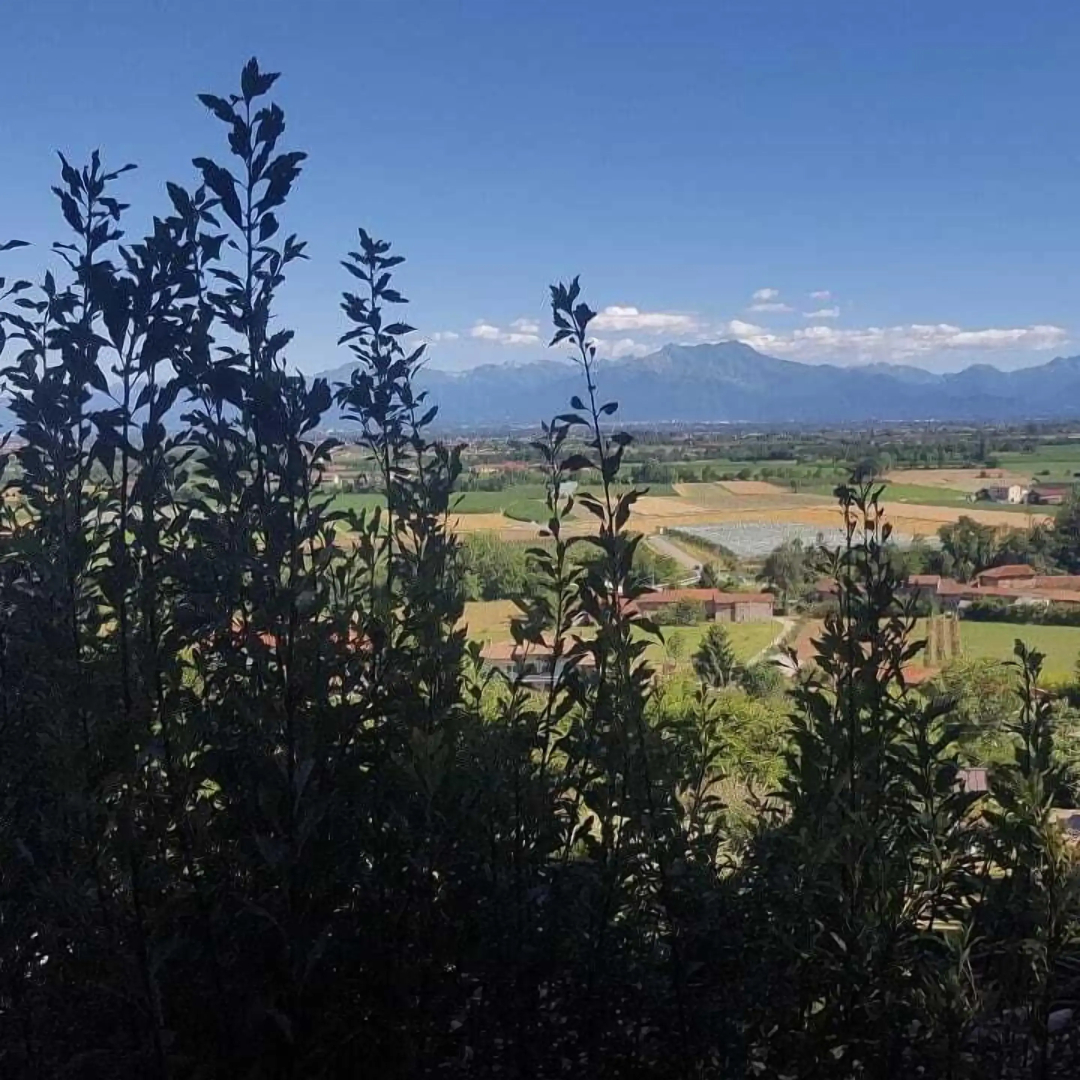 L'Uovo e La Faina