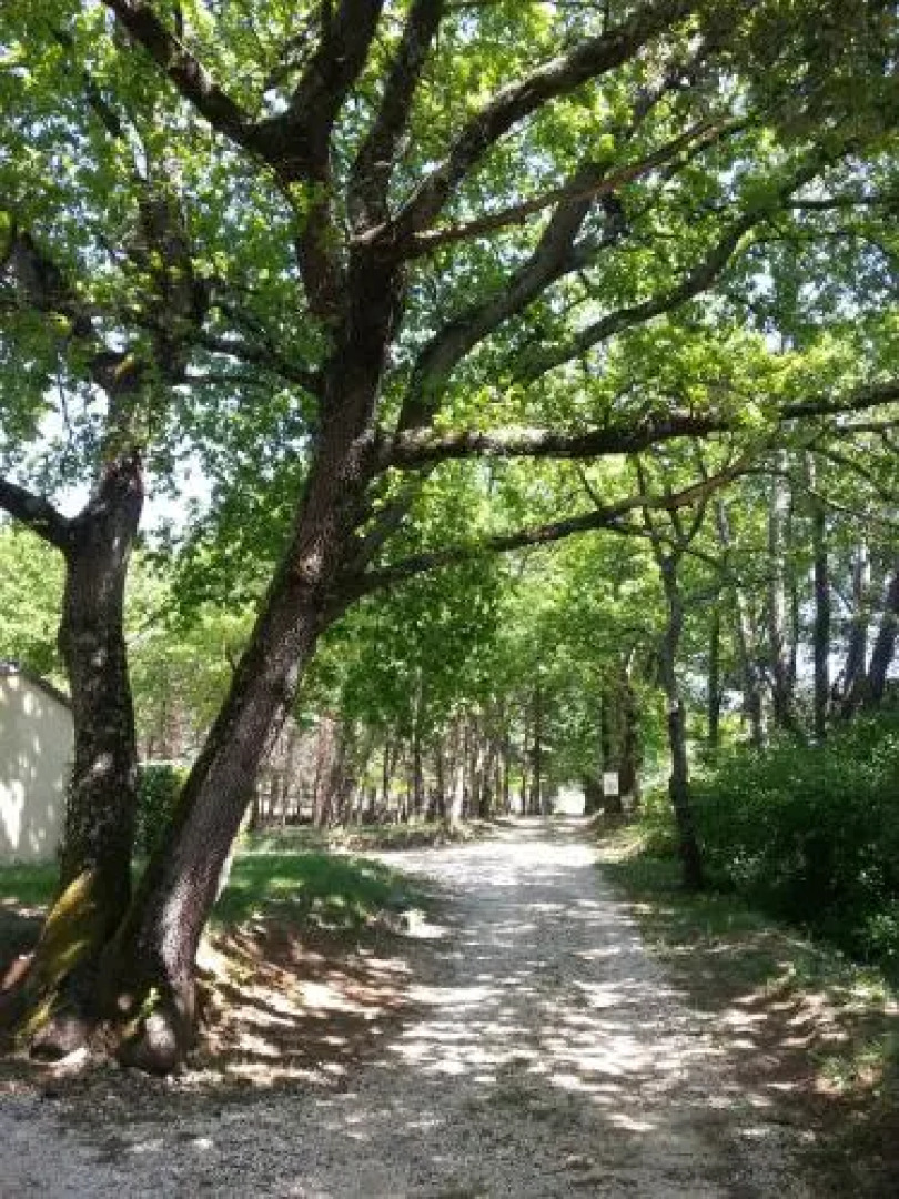 Camping Parc Saint Sauvayre