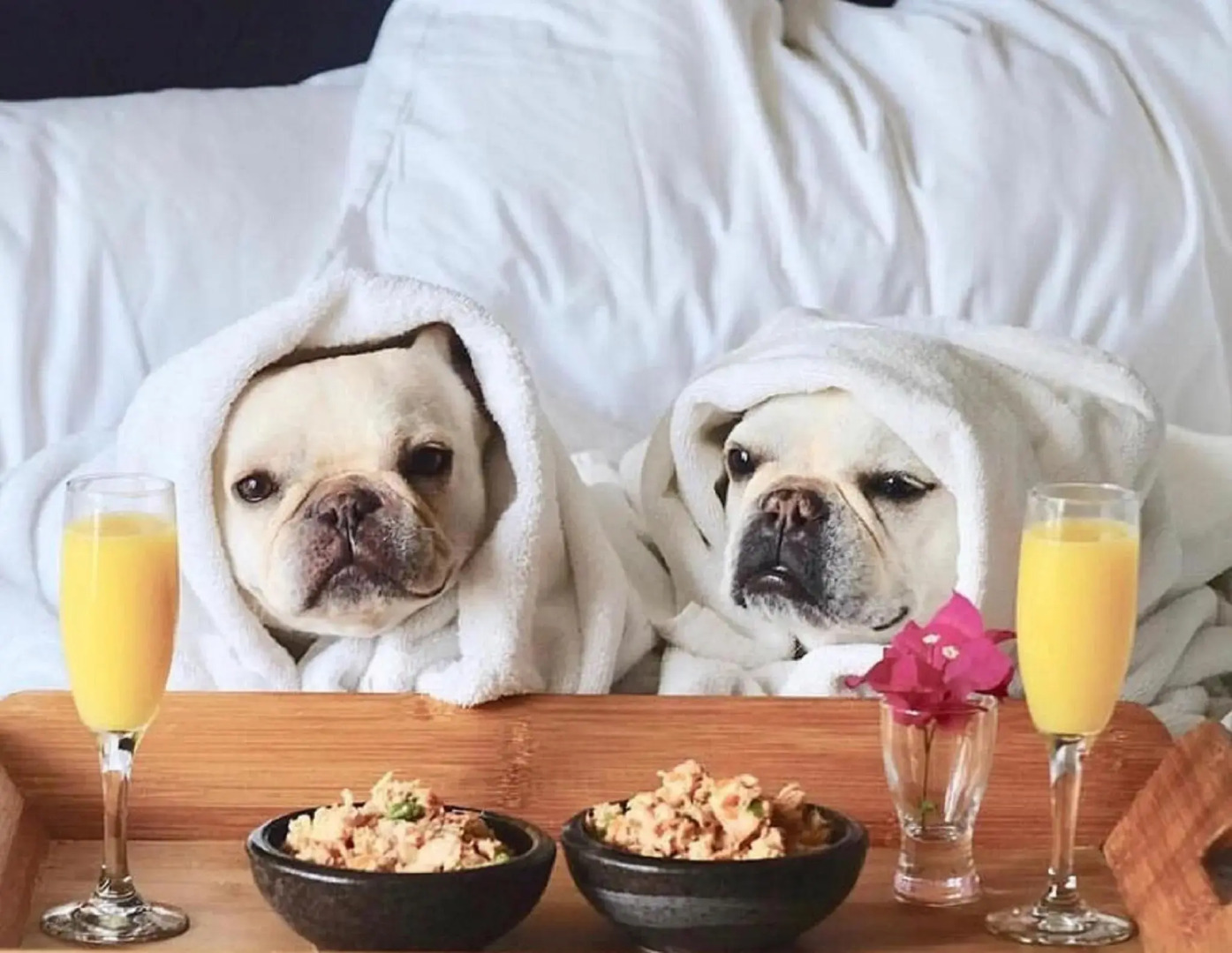 The Plymouth South Beach