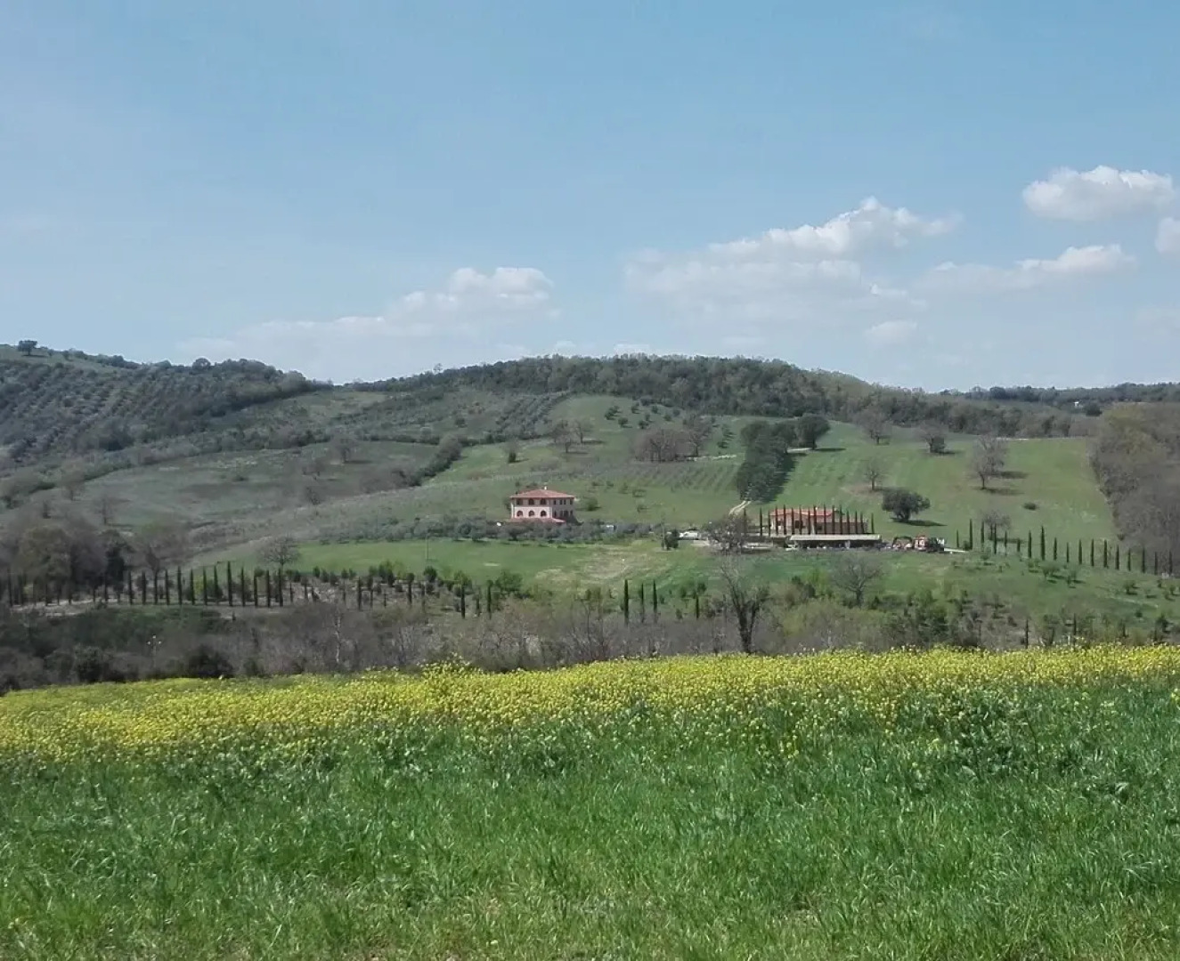 Agriturismo La Steccaia Alta