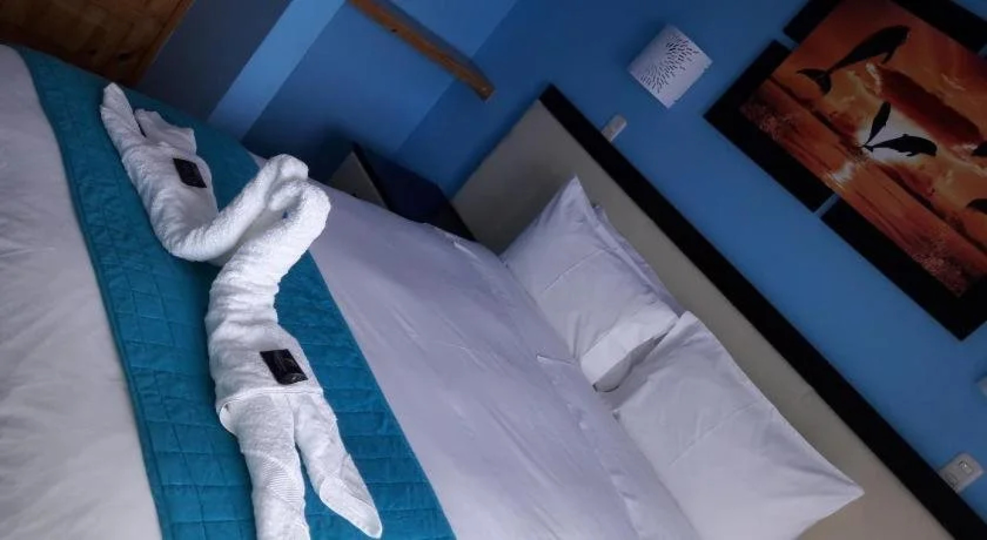 Hotel Boutique Delfin Dorado