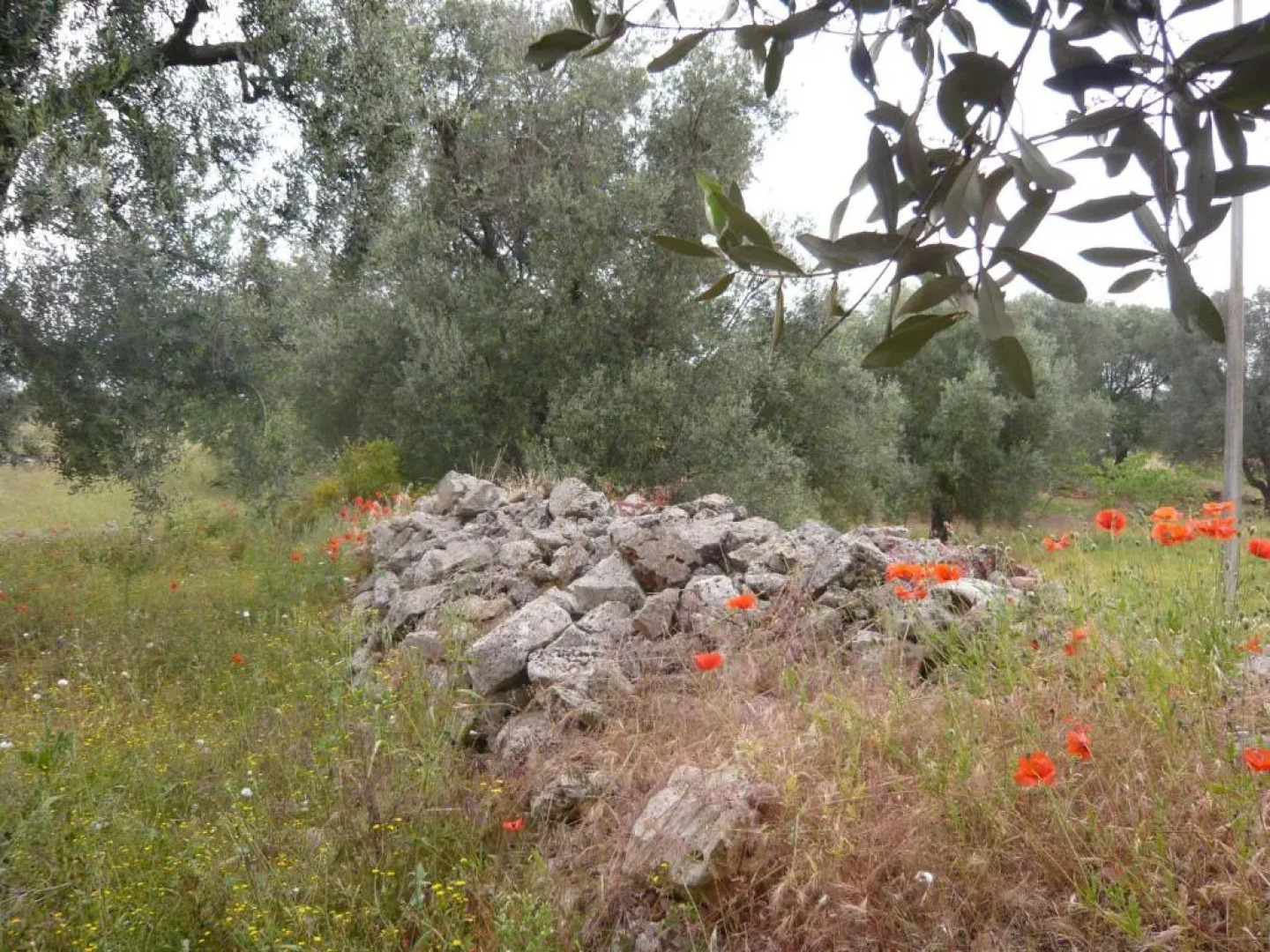 Villa Conte in Salento