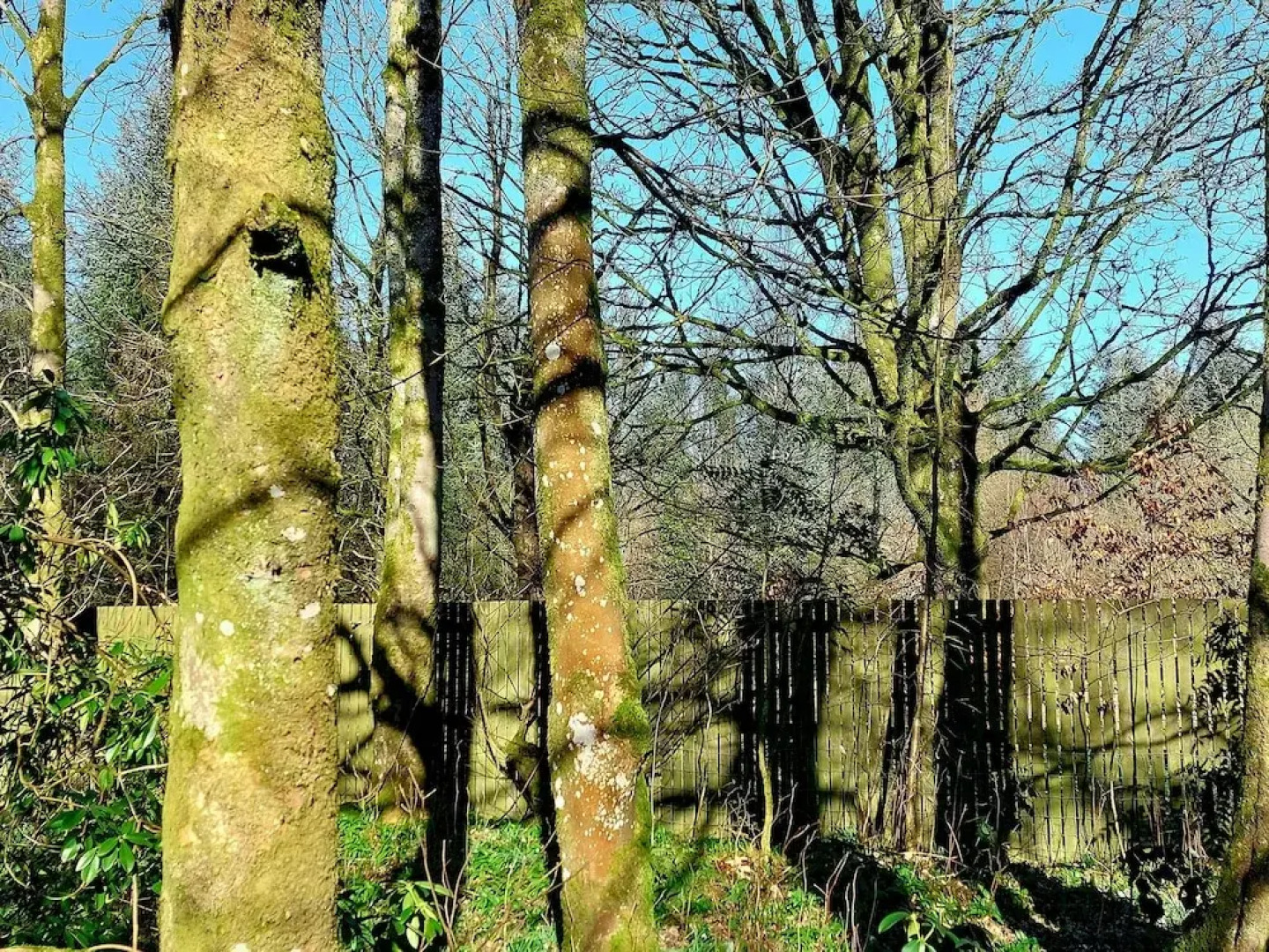 The Coach House, Canonbie