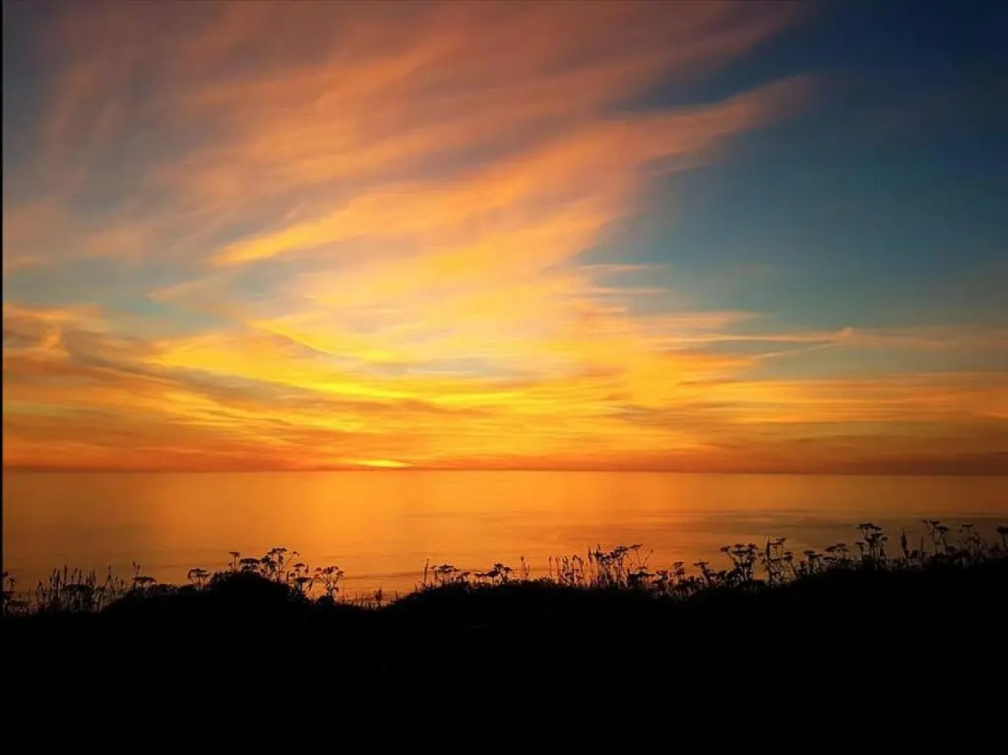 Newquay View Resort 91