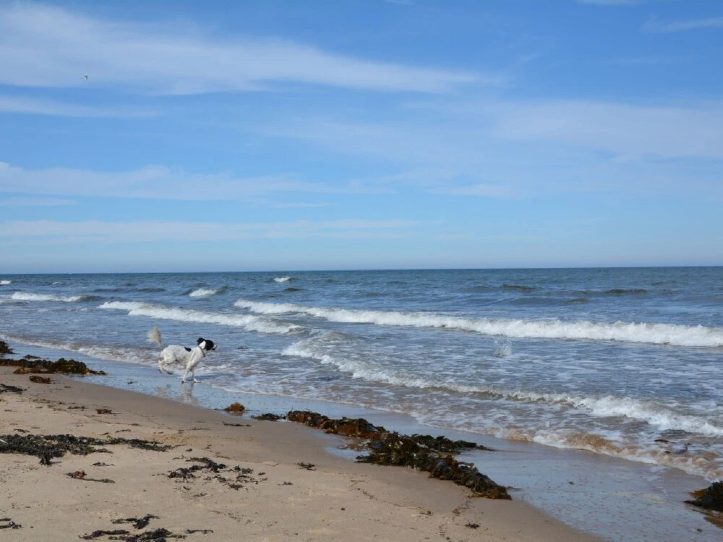 Lobster Pot Cottage Low Hauxley
