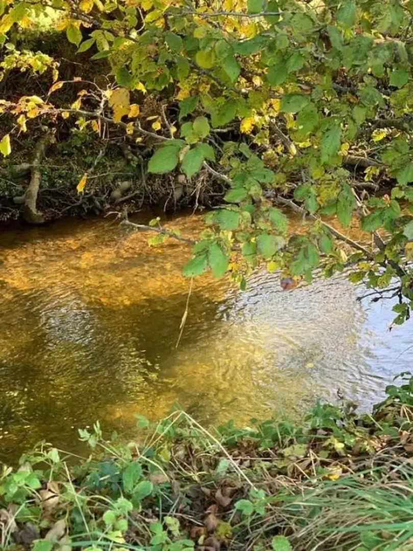 Woodview Cottage - Countryside Revive