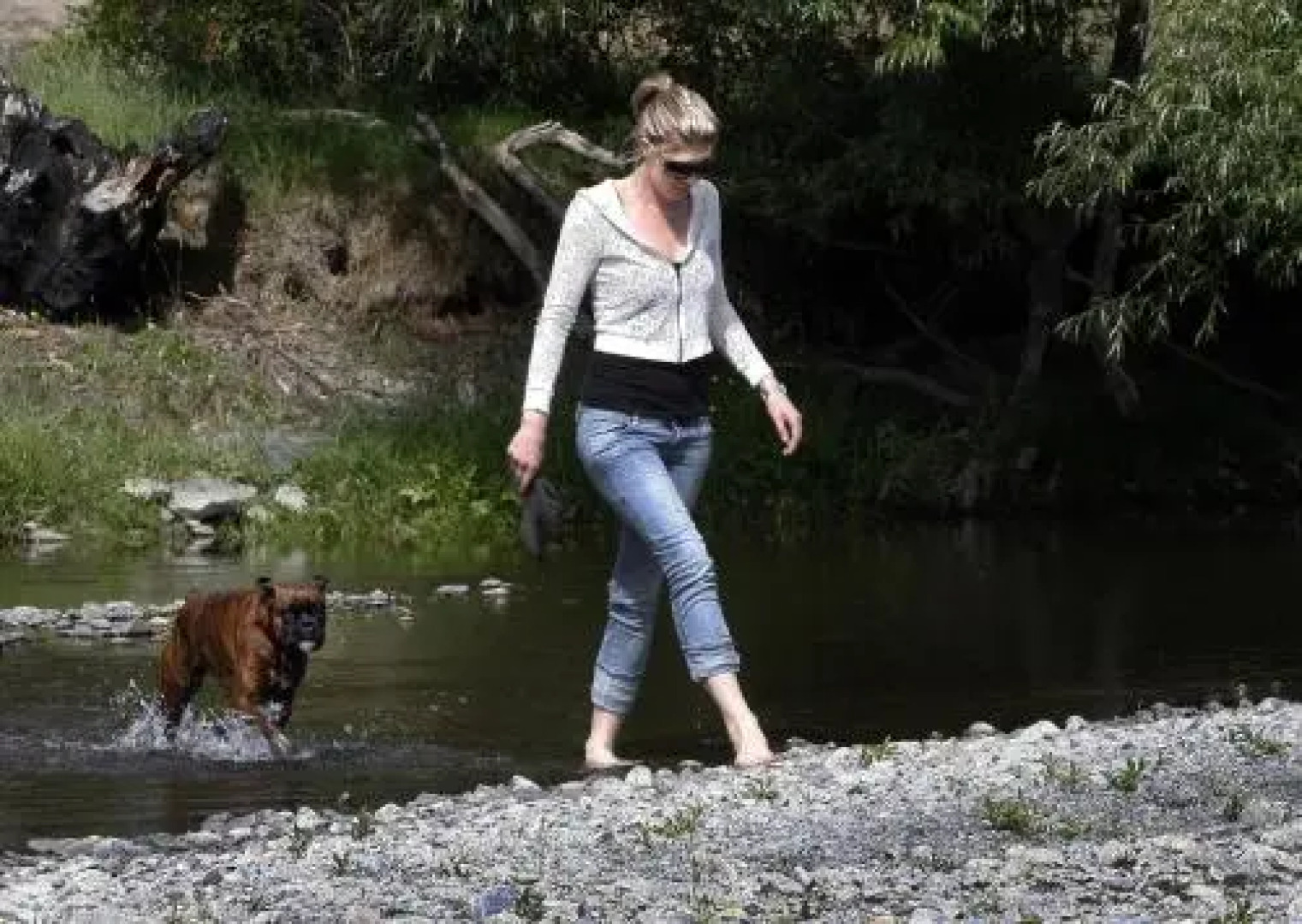 Karetu Downs Farm Stay