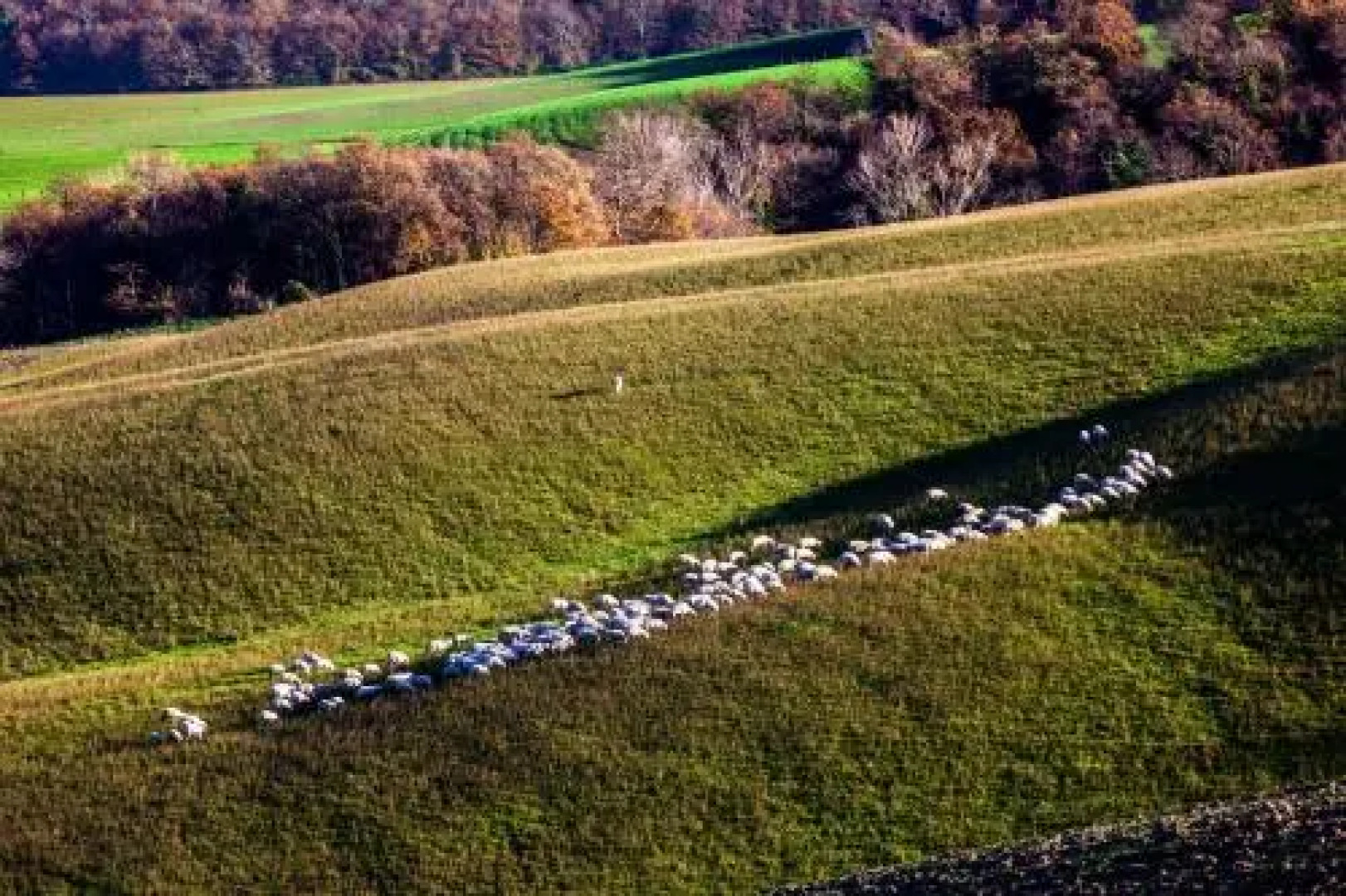 Appartamento Cipresso