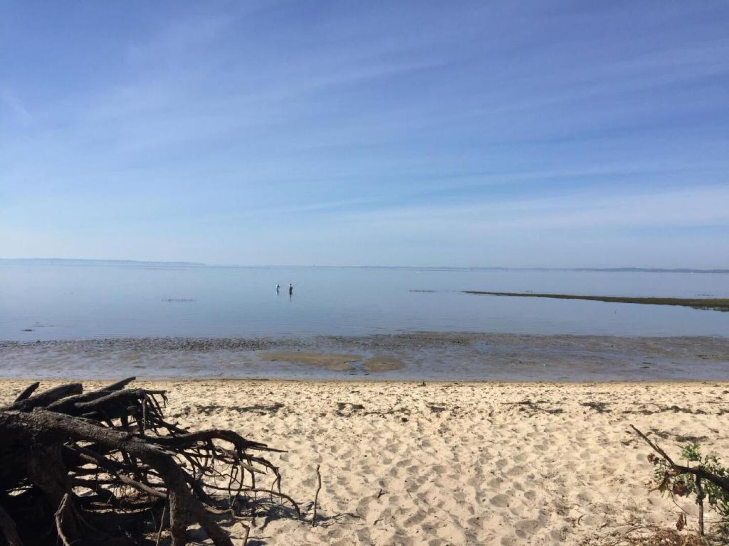 Appartement Les Goélands