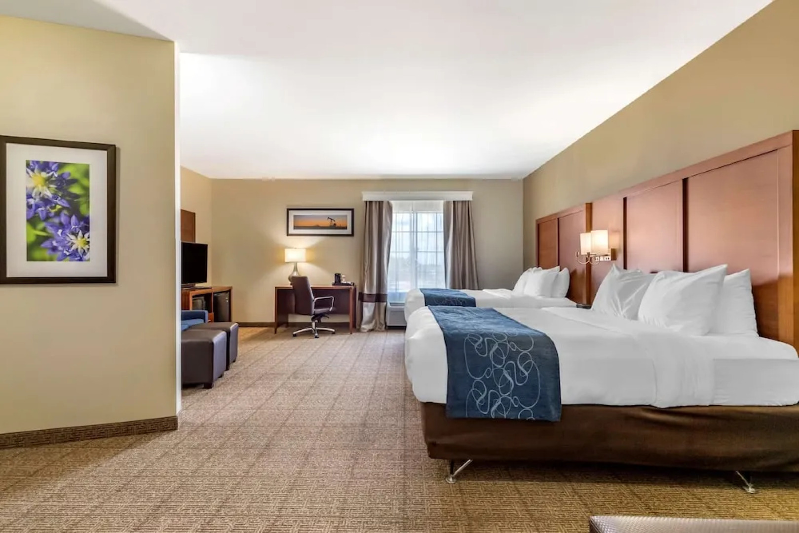 Comfort Suites Buda - Austin South