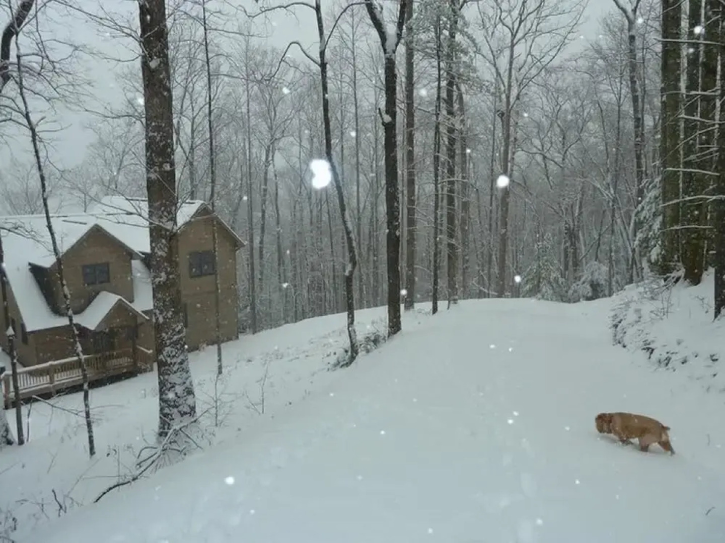 Endless View Blue Ridge