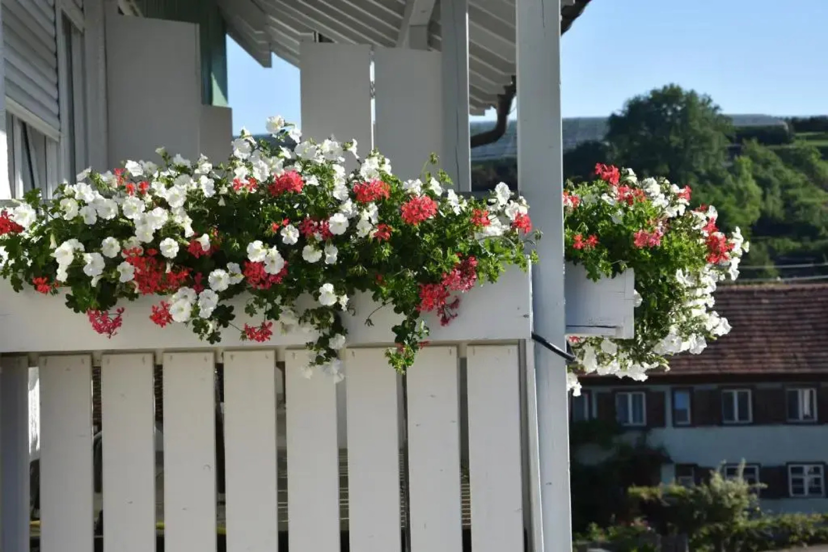 Gasthaus Pension zum Forst