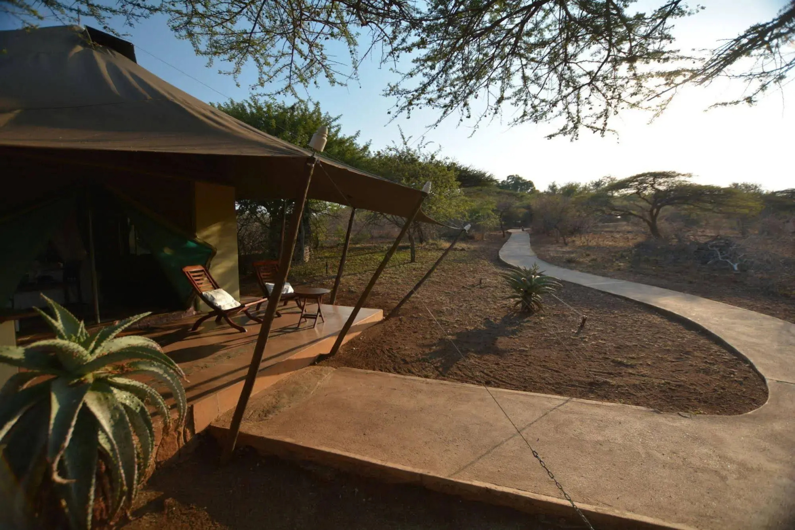 Africamps at White Elephant Safaris