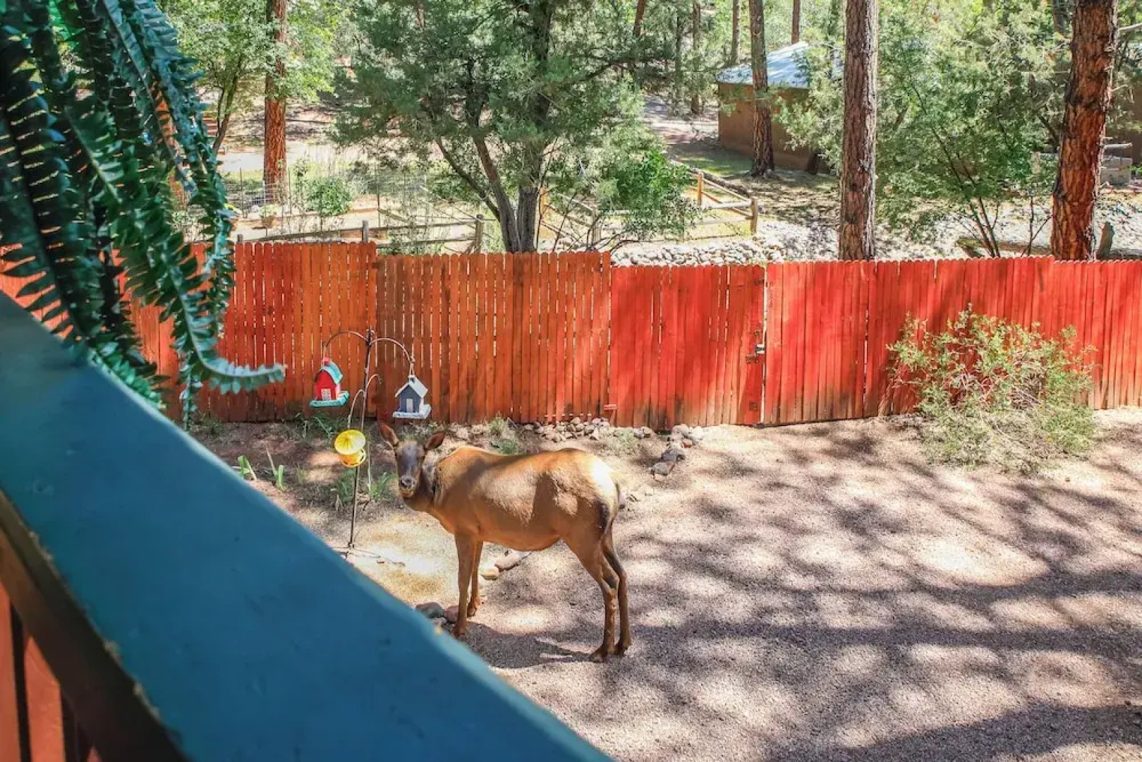 Relax Fireside + Play Games! Hikers Haven in Pine