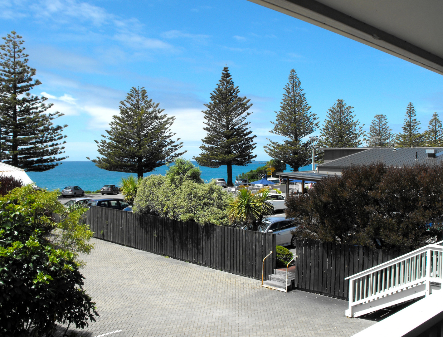 The White Morph - Heritage Collection