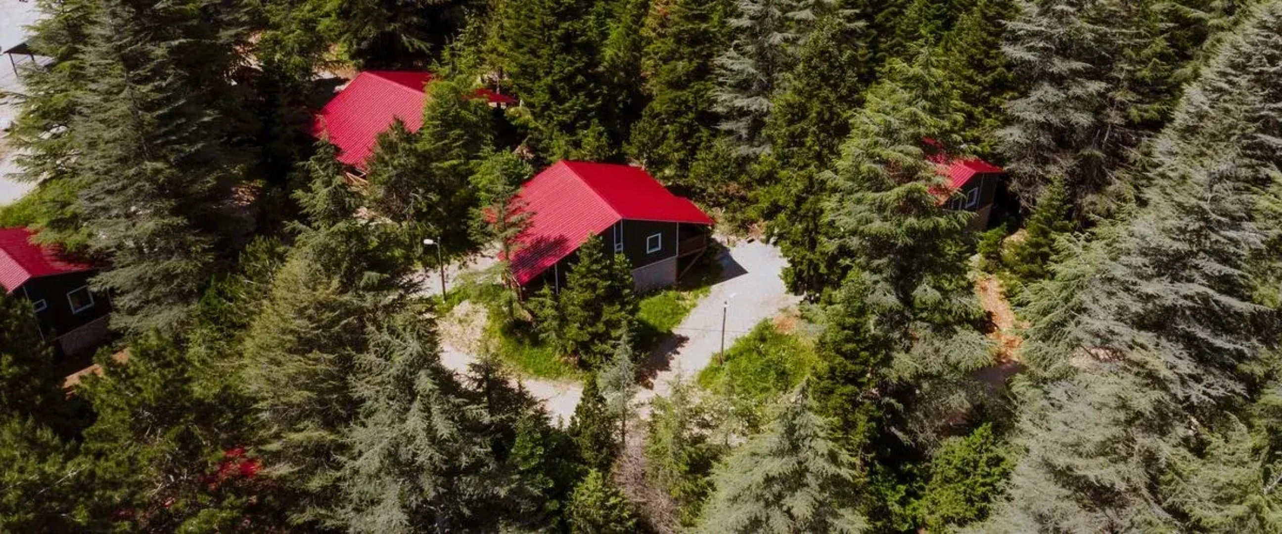 Başkonuş Yaylası Orman Evleri