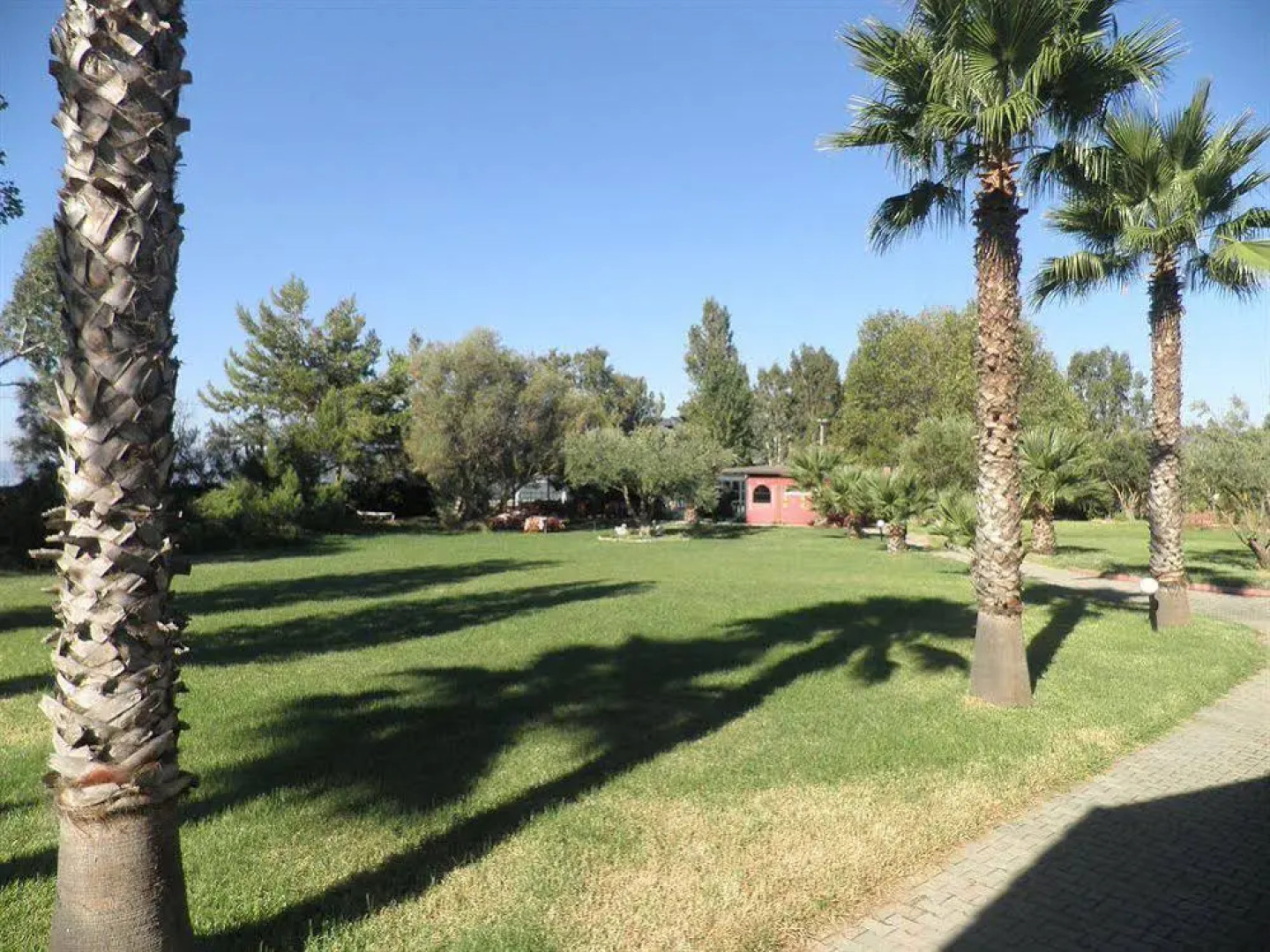 King Odysseu's Village