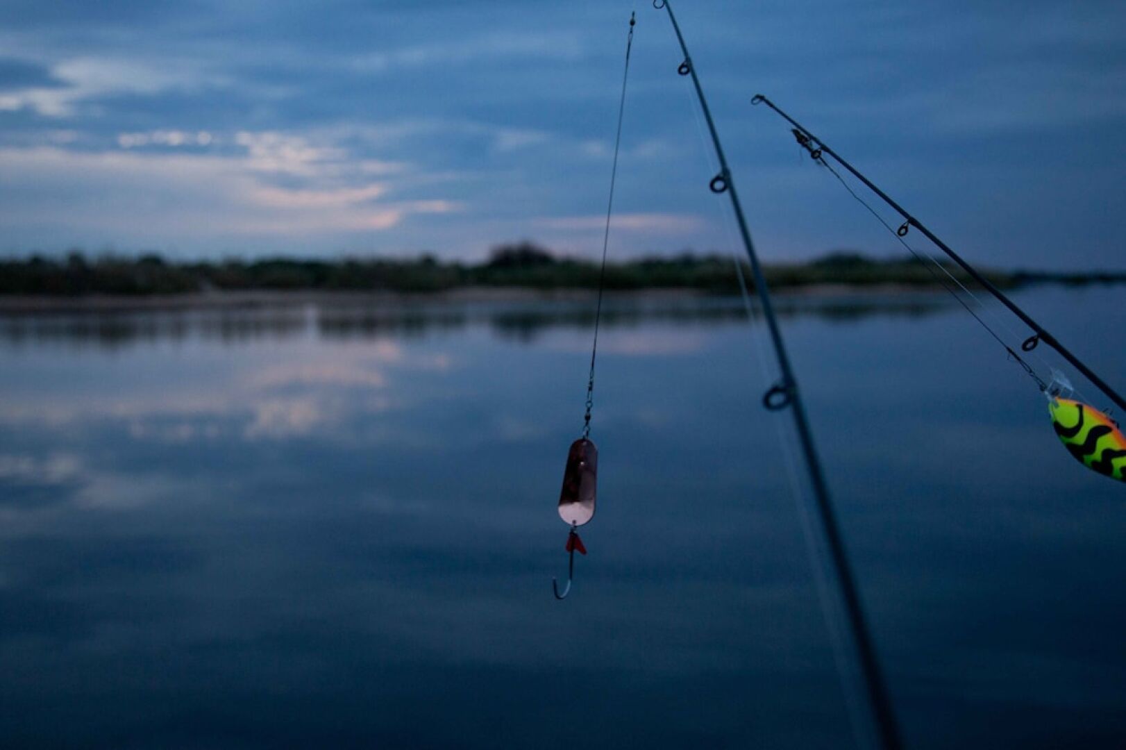 Taranga Safari Lodge