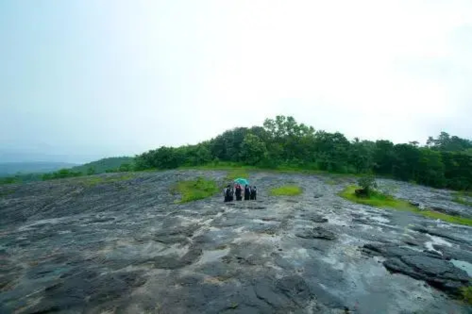 Contour Jungle Resort