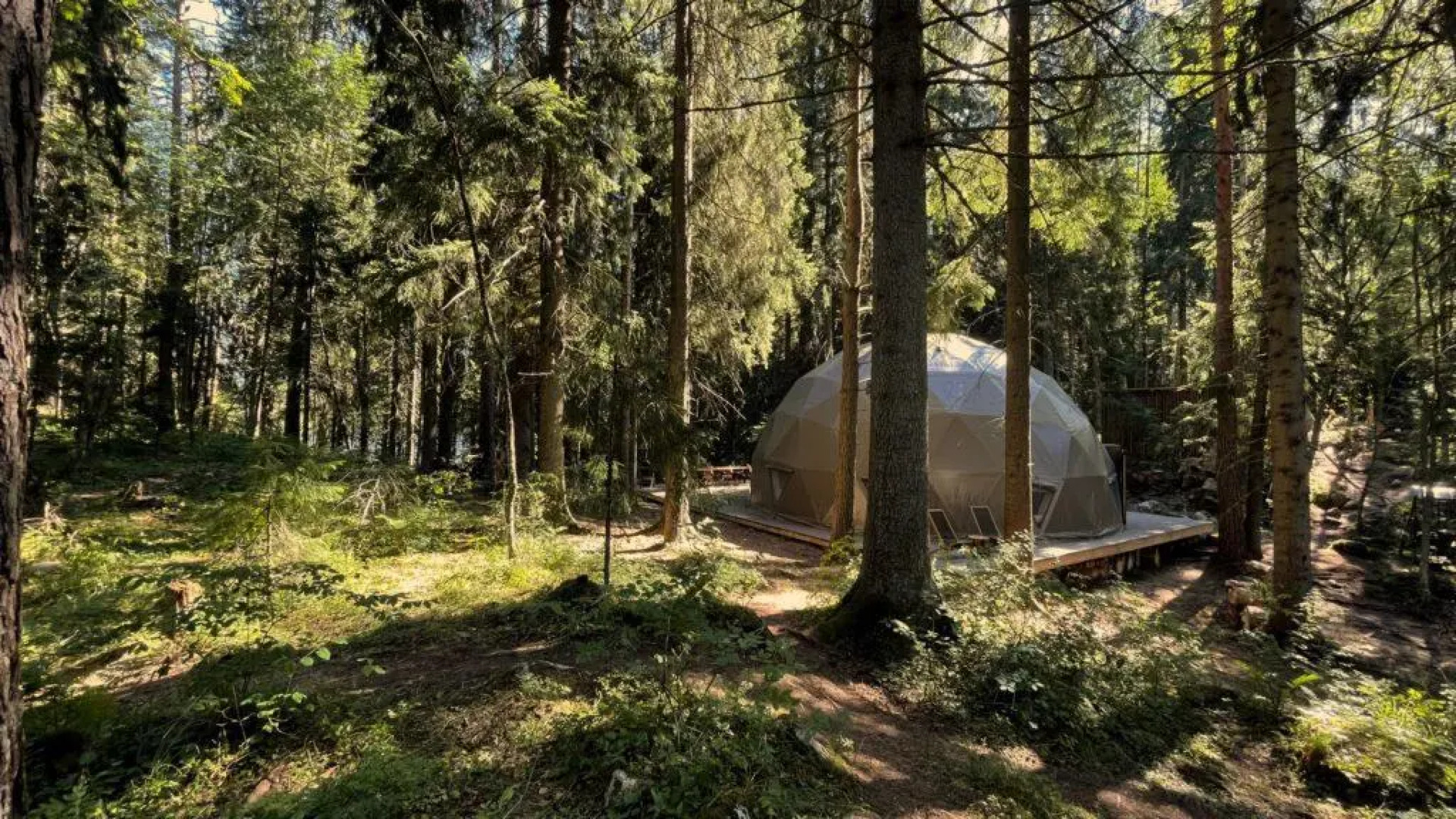 Вили Улей Карелия