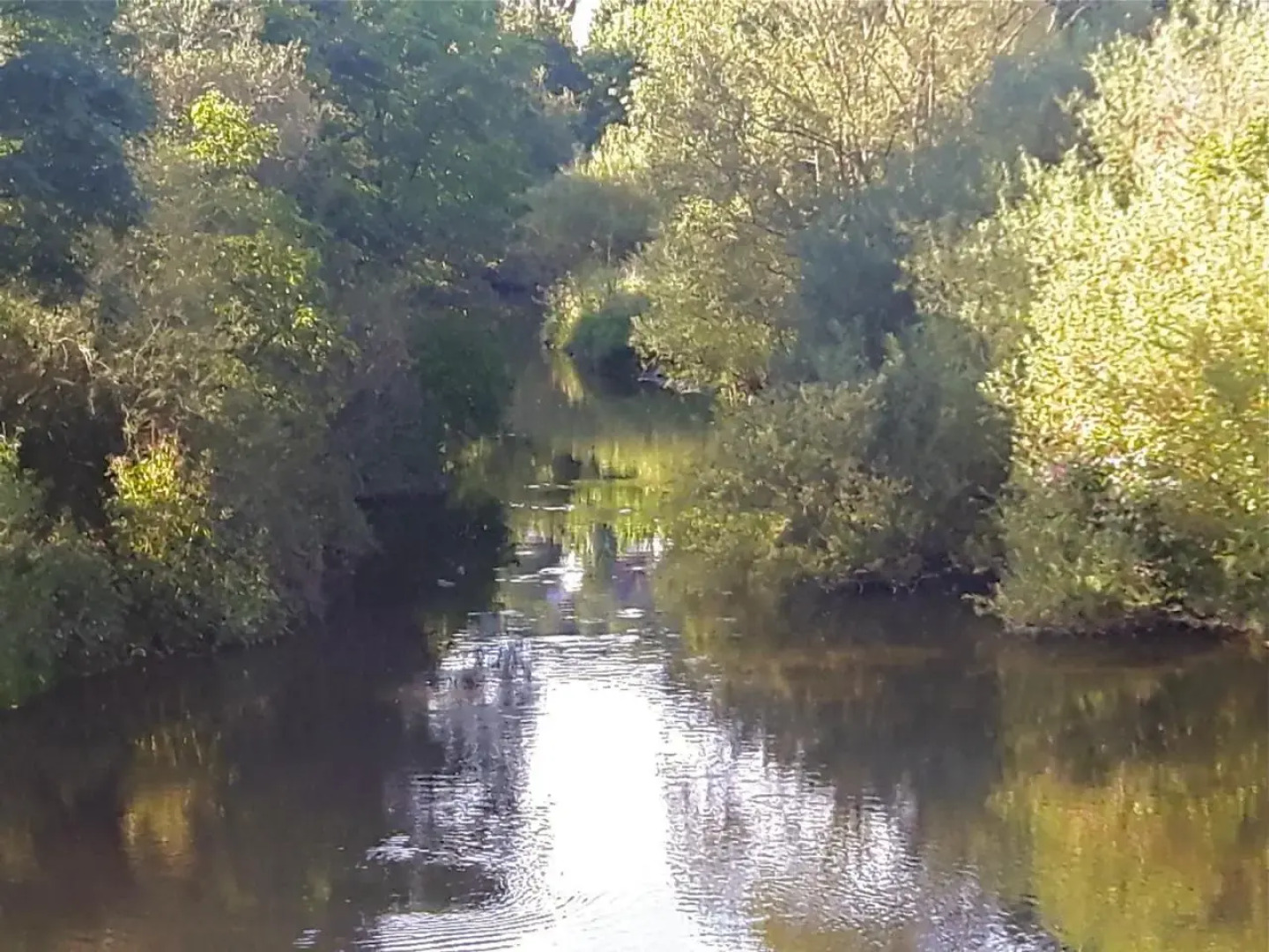 Eifel REBEIGE Gerolstein