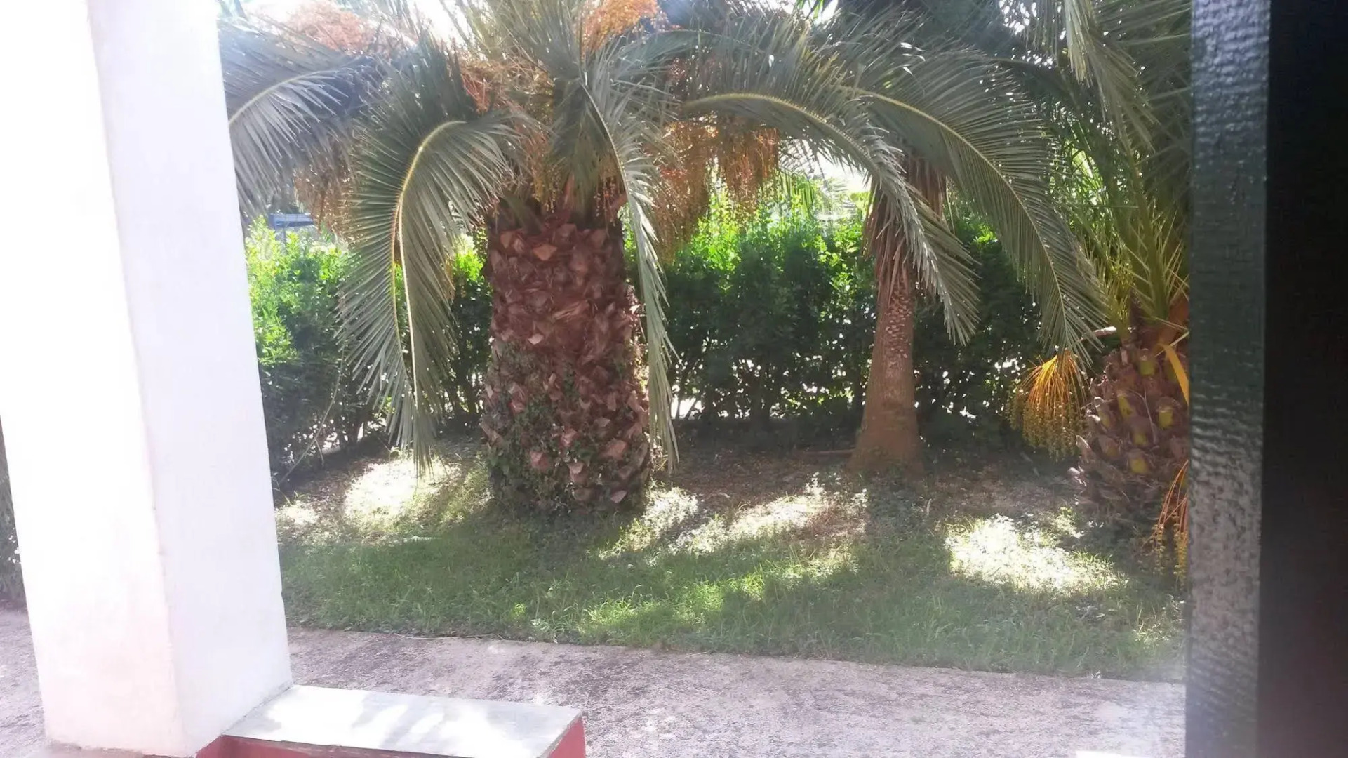 Sunny Dreams Apartments Ipsos