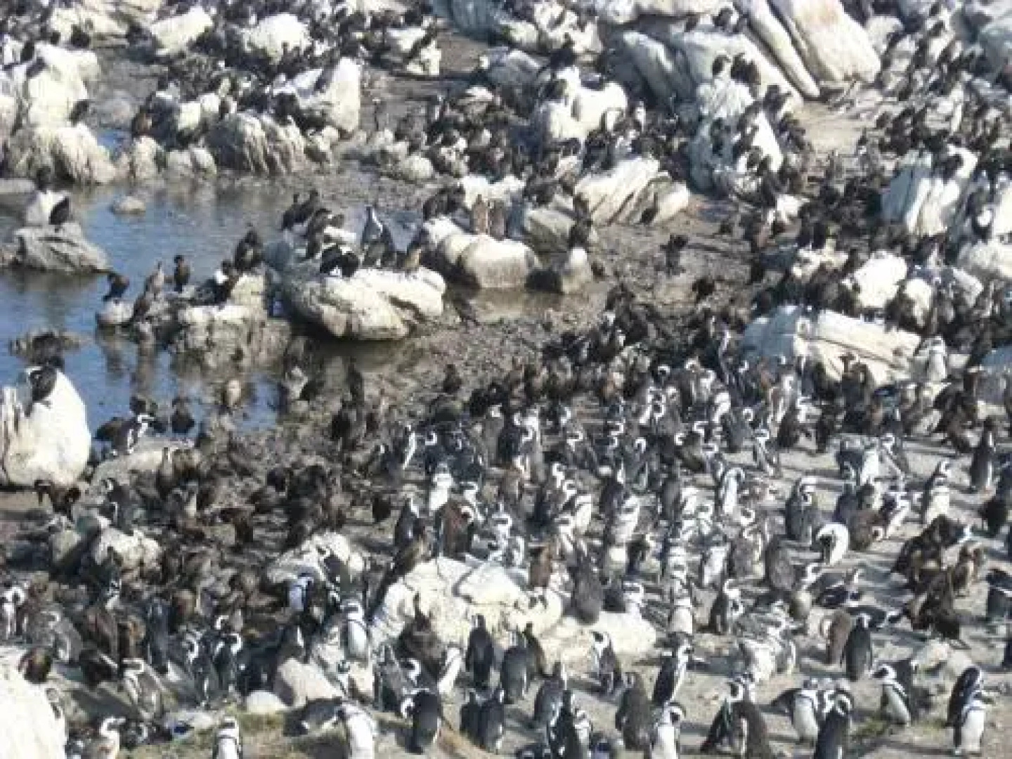 Avondsrus Guesthouse