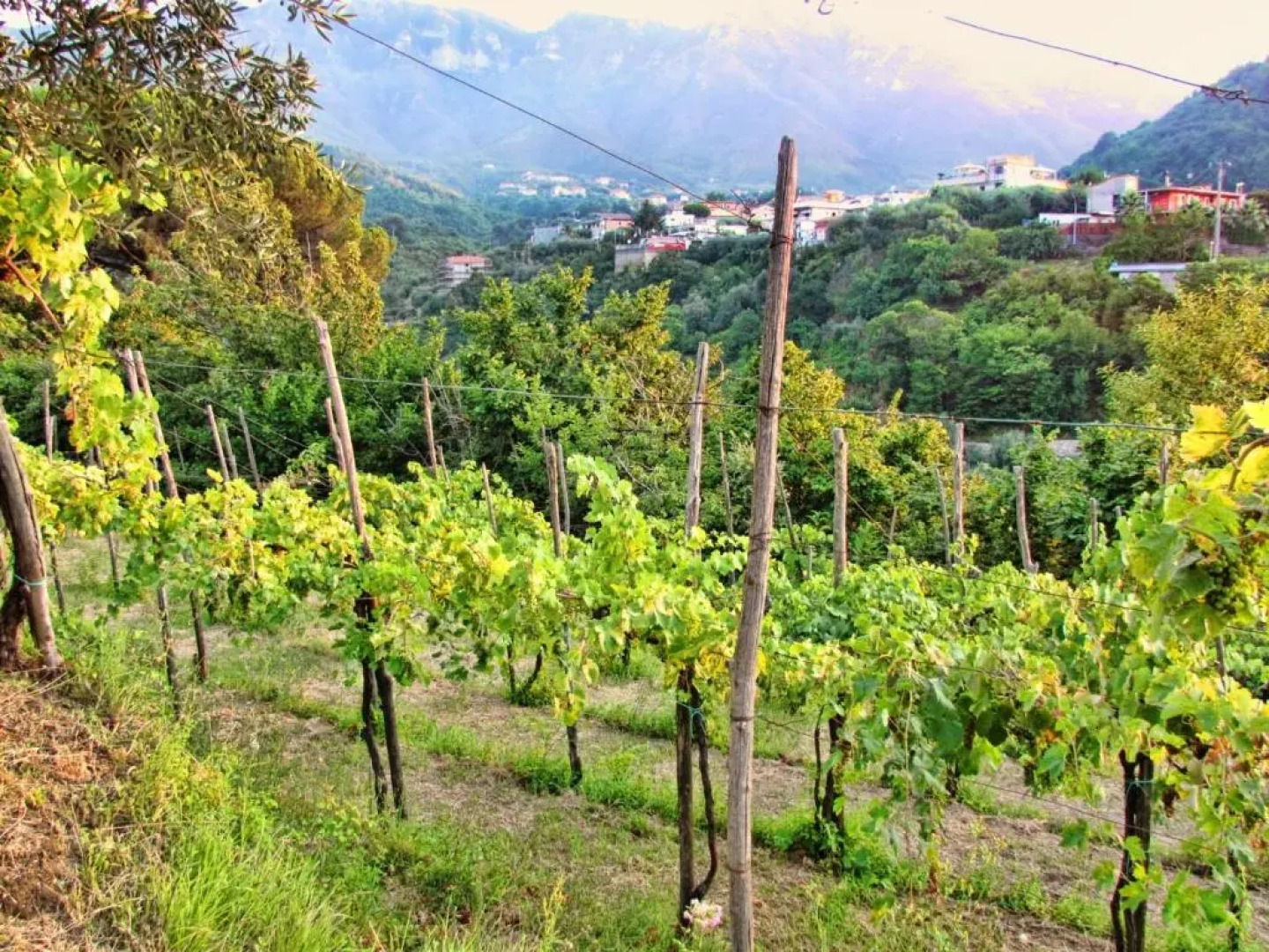 Apartment with 2 bedrooms in Castello with furnished balcony and WiFi 4 km from the beach