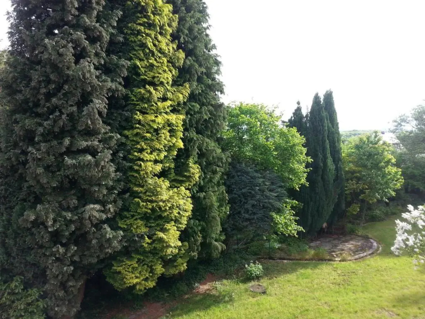 Westerwaldhotel Dernbach
