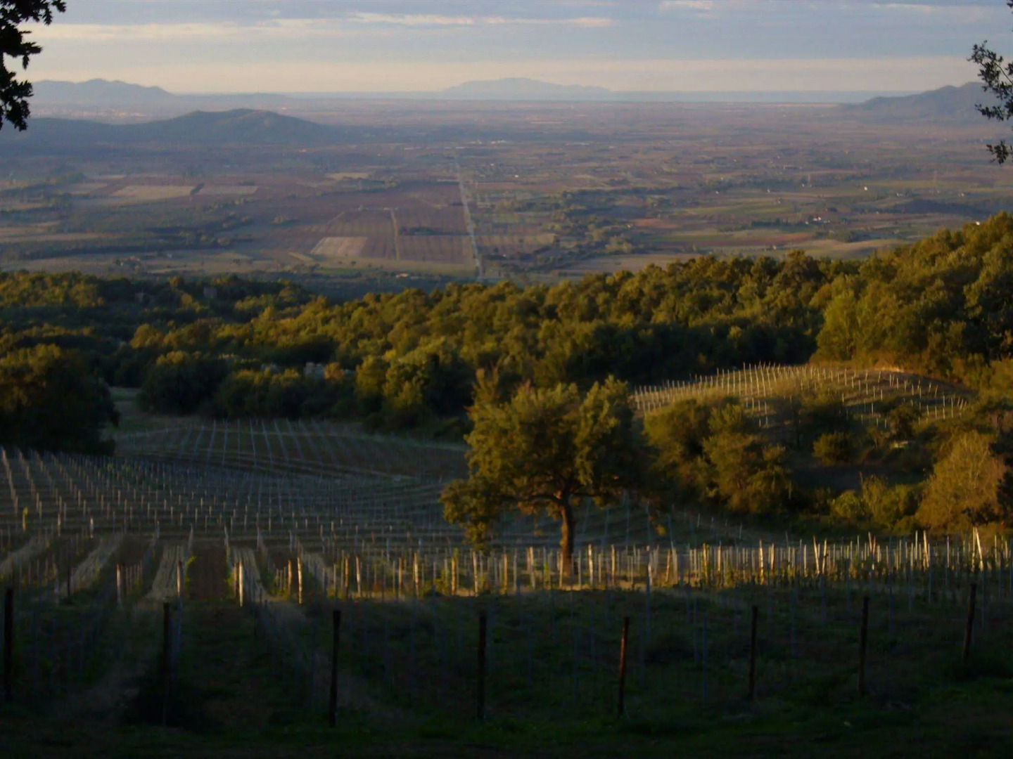 Valdonica Winery & Vineyard Residence