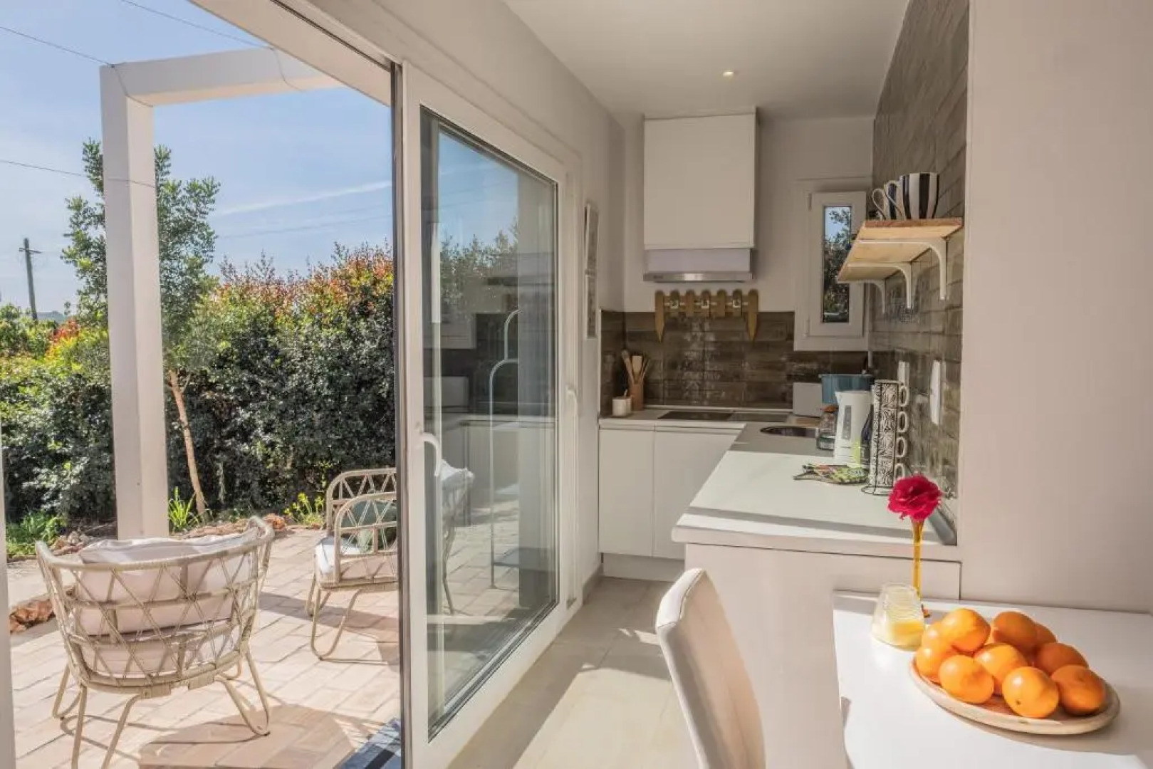 Gato Preto de Silves