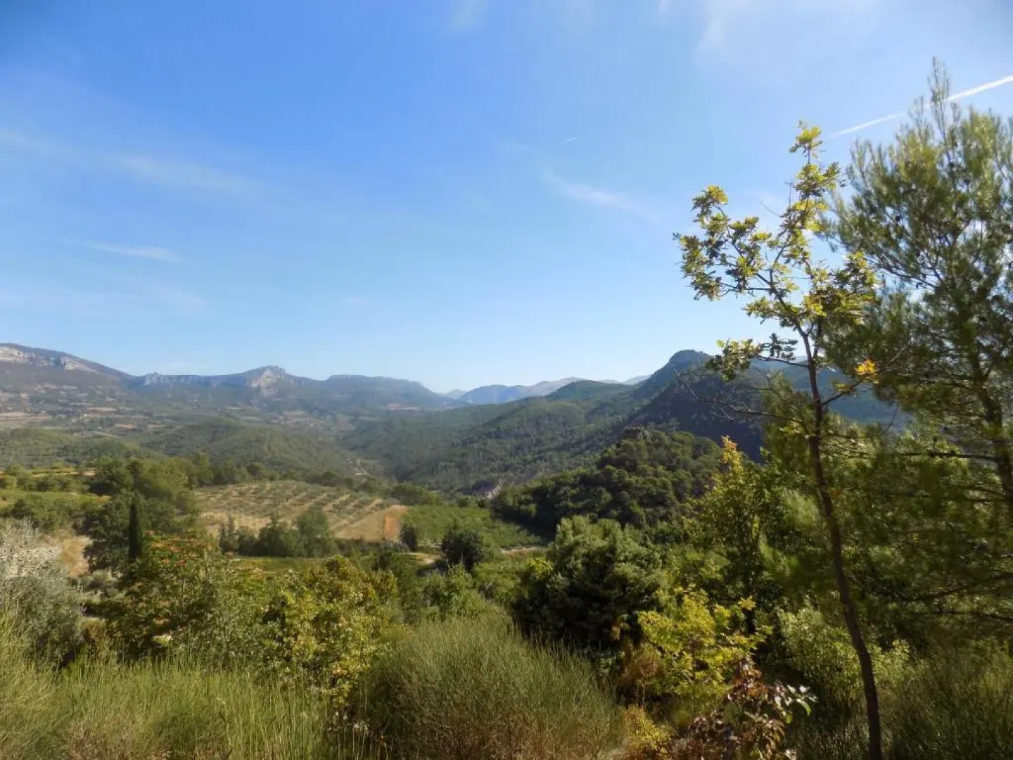 Le Mas des Eglantiers