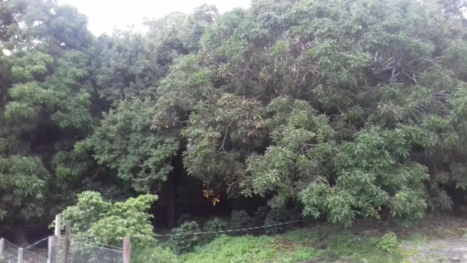 Hotel Finca Magdalena