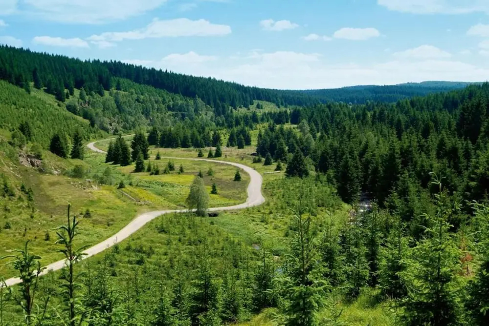 Hotel Schwarzbeerschänke