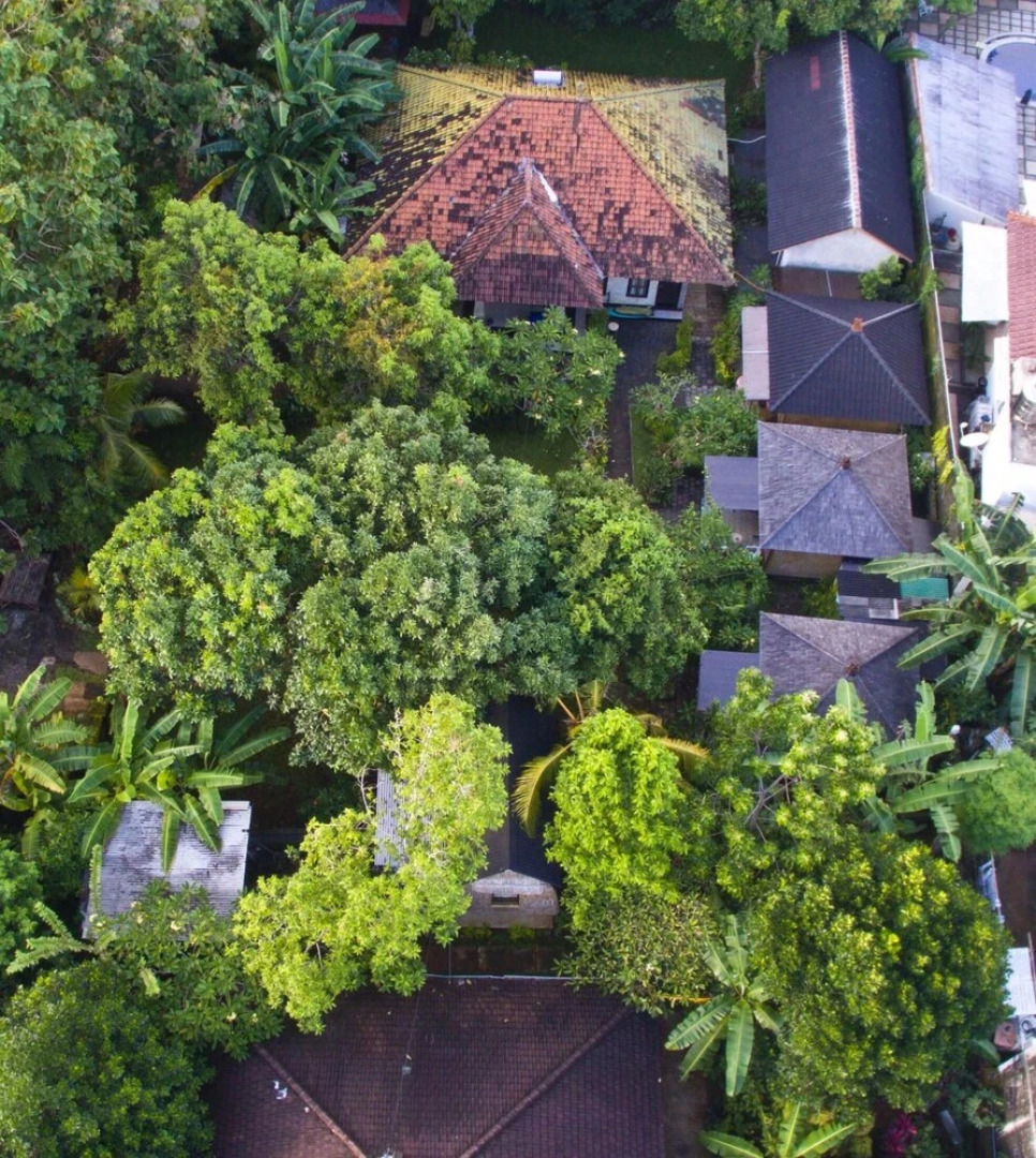 Timbis Homestay Bali